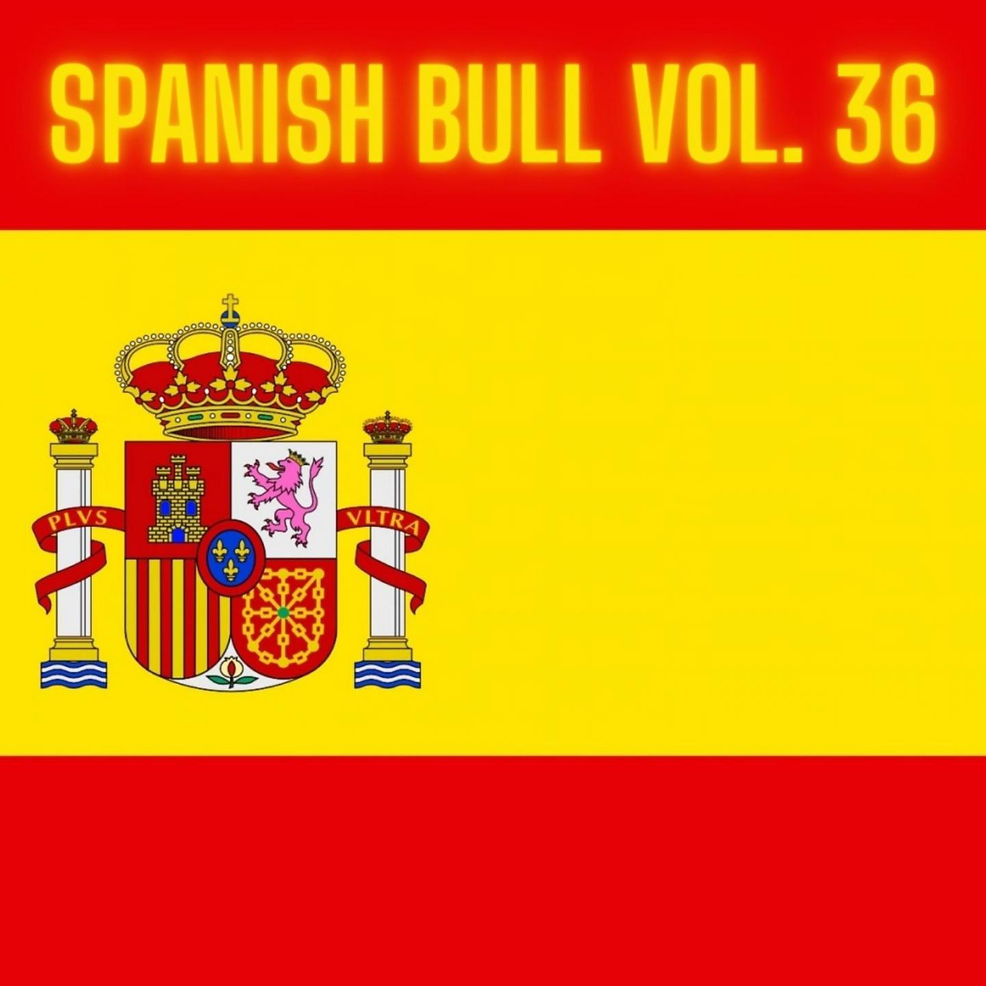 Постер альбома Spanish Bull Vol. 36