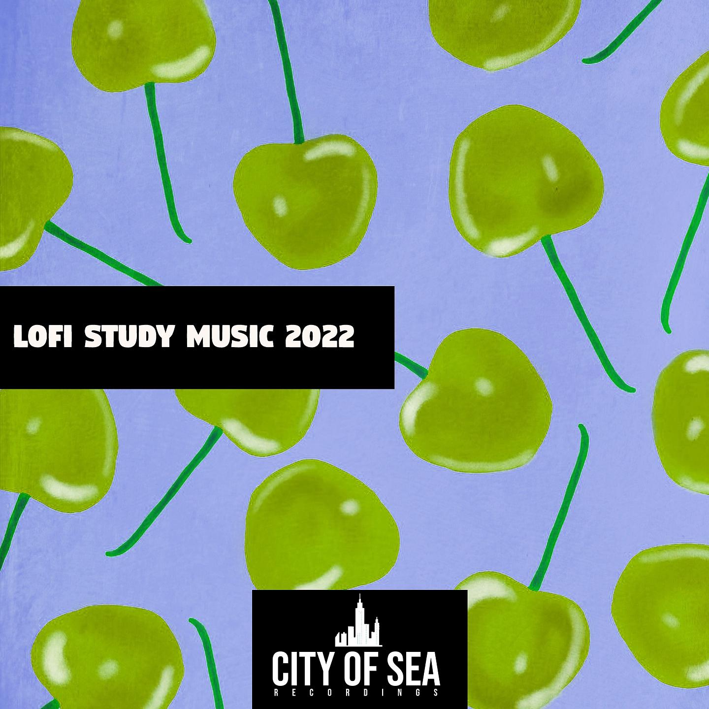 Постер альбома Lofi Study Music 2022