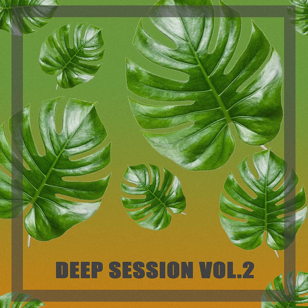 Постер альбома Deep Session Vol.2