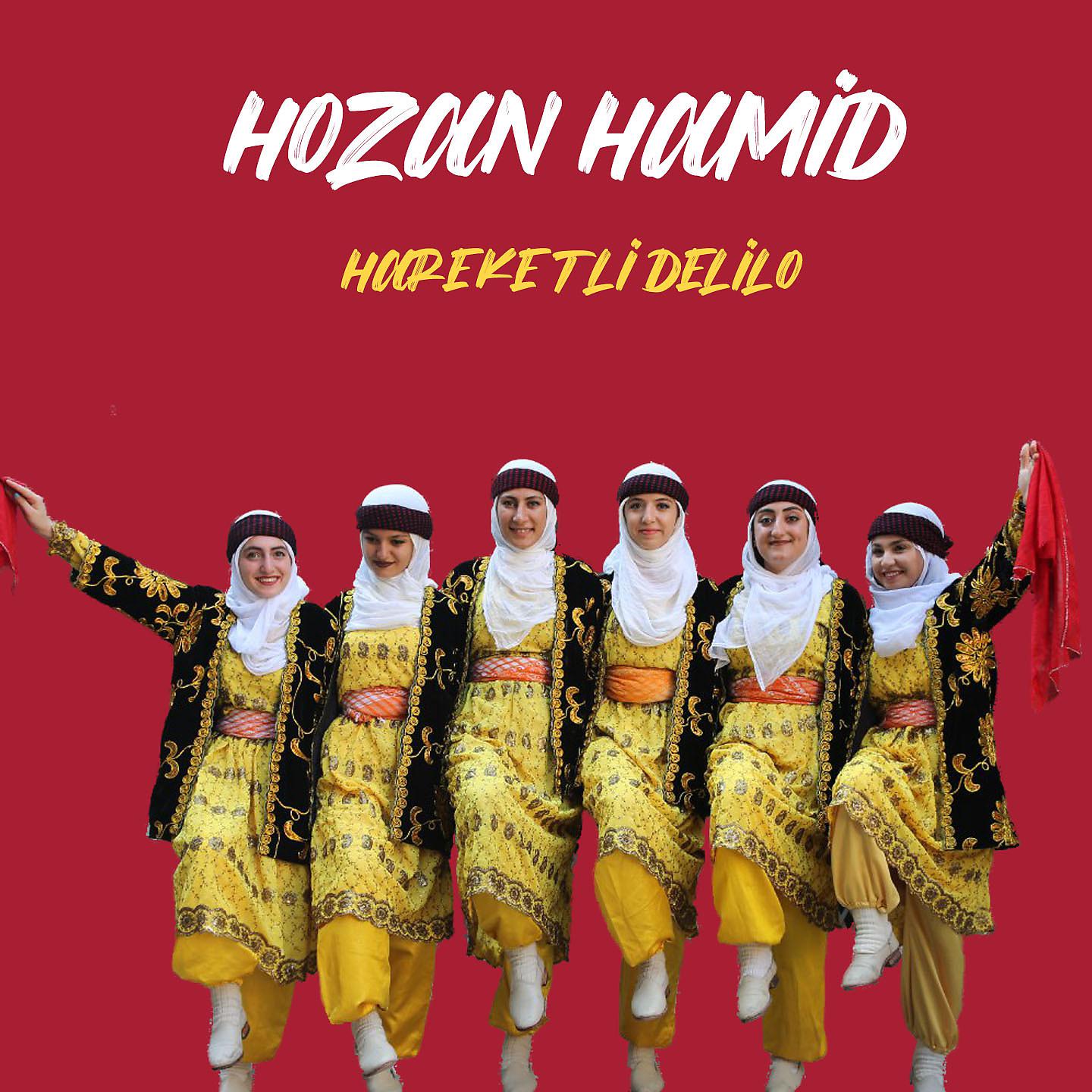 Постер альбома Hareketli Delilo