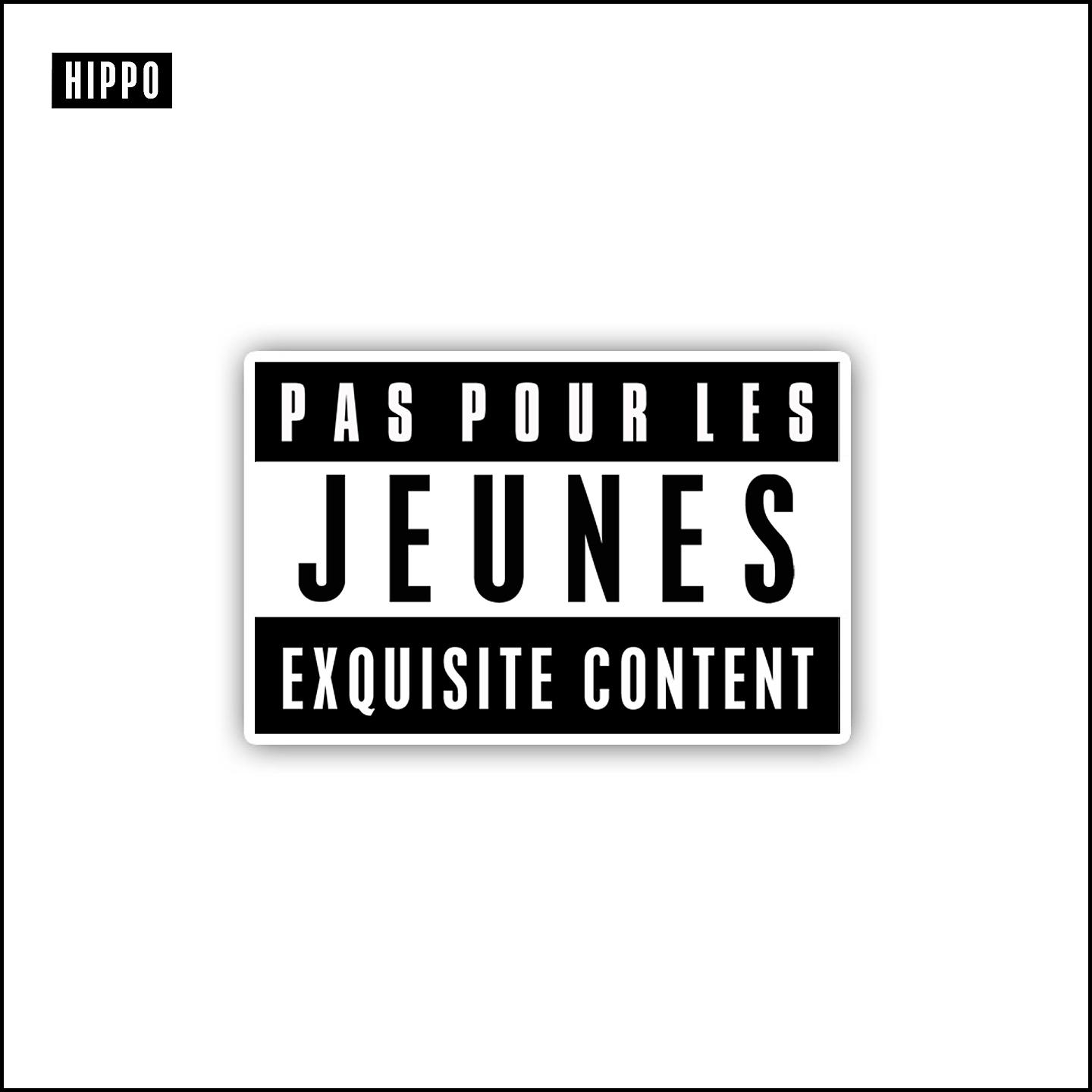 Постер альбома Pas Pour Les Jeunes EP