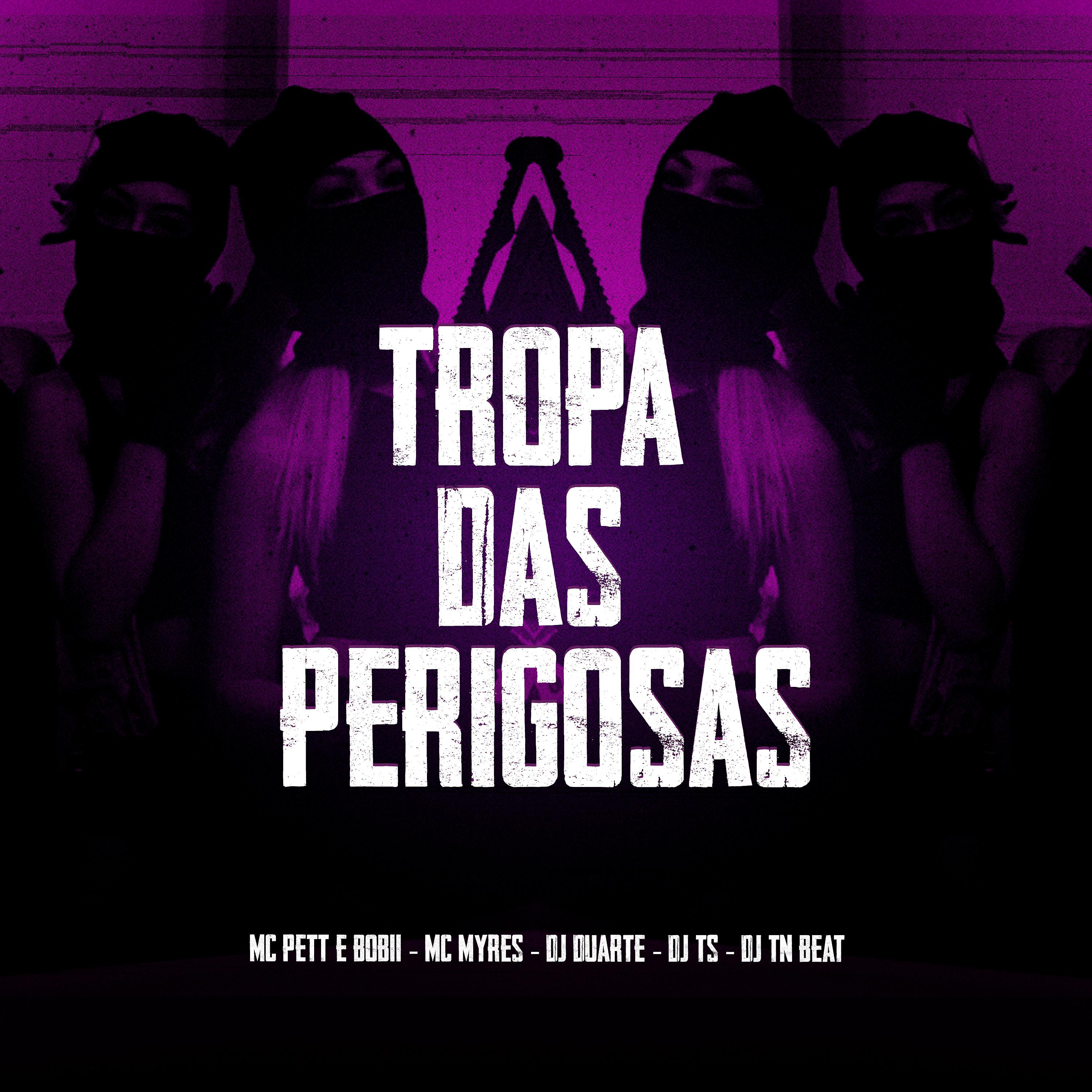 Постер альбома Tropa das Perigosas