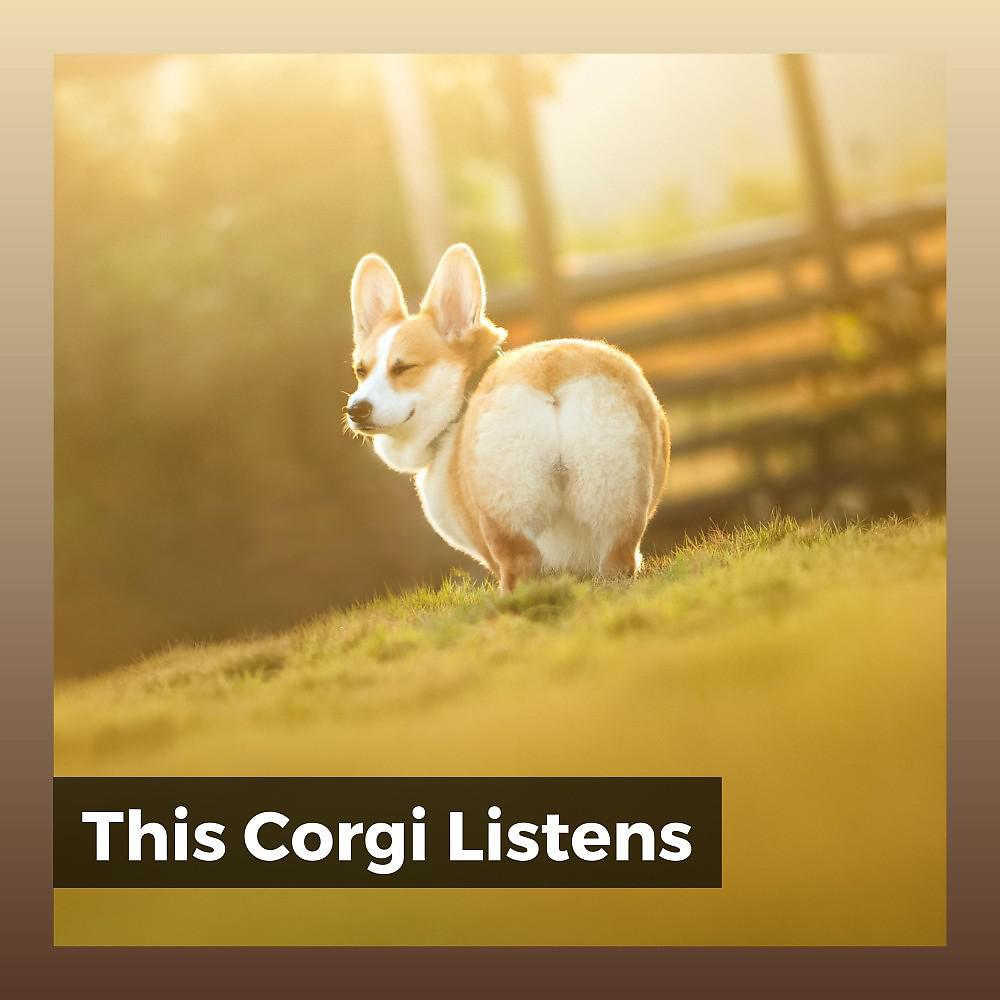 Постер альбома This Corgi Listens