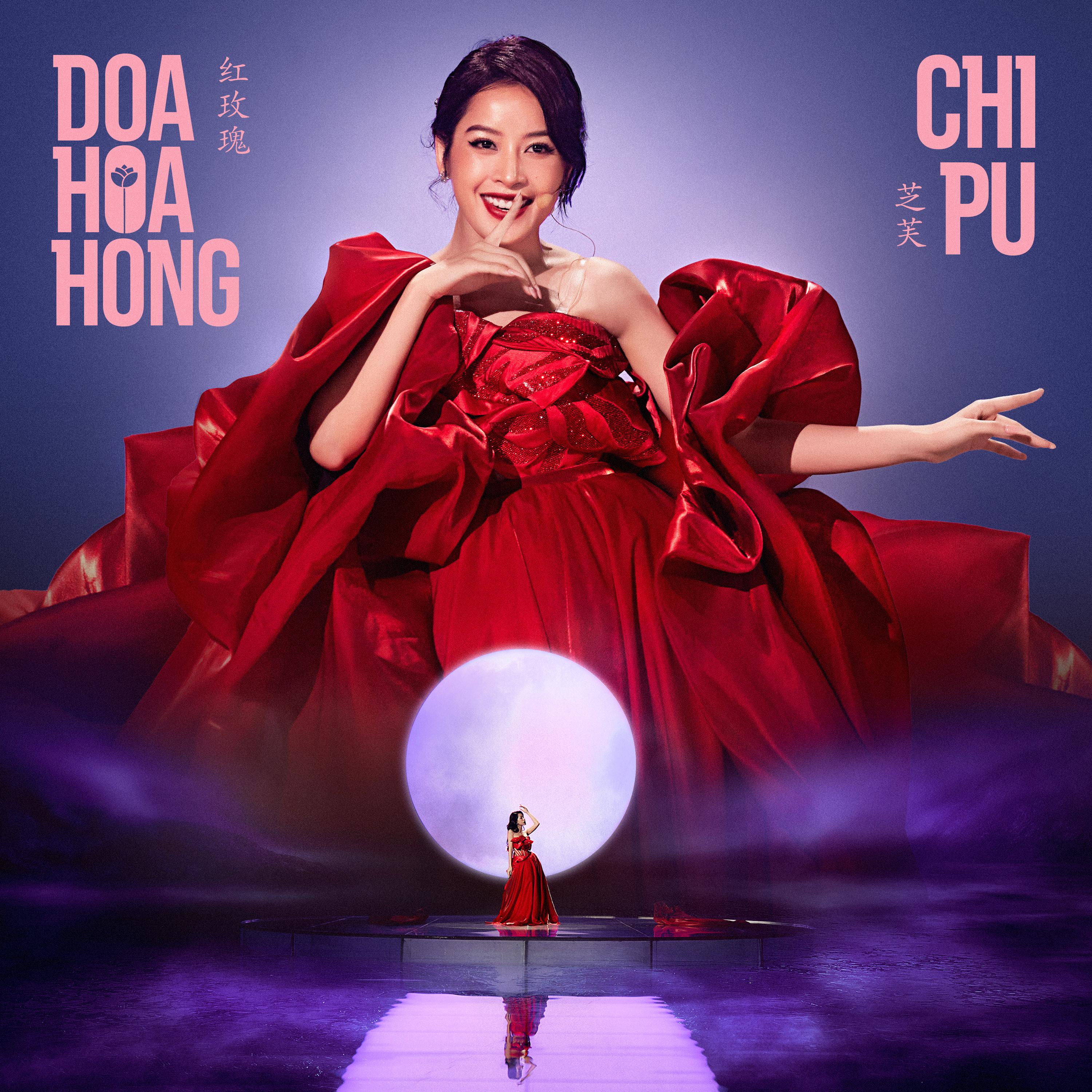 Постер альбома Đoá Hoa Hồng (红玫瑰)