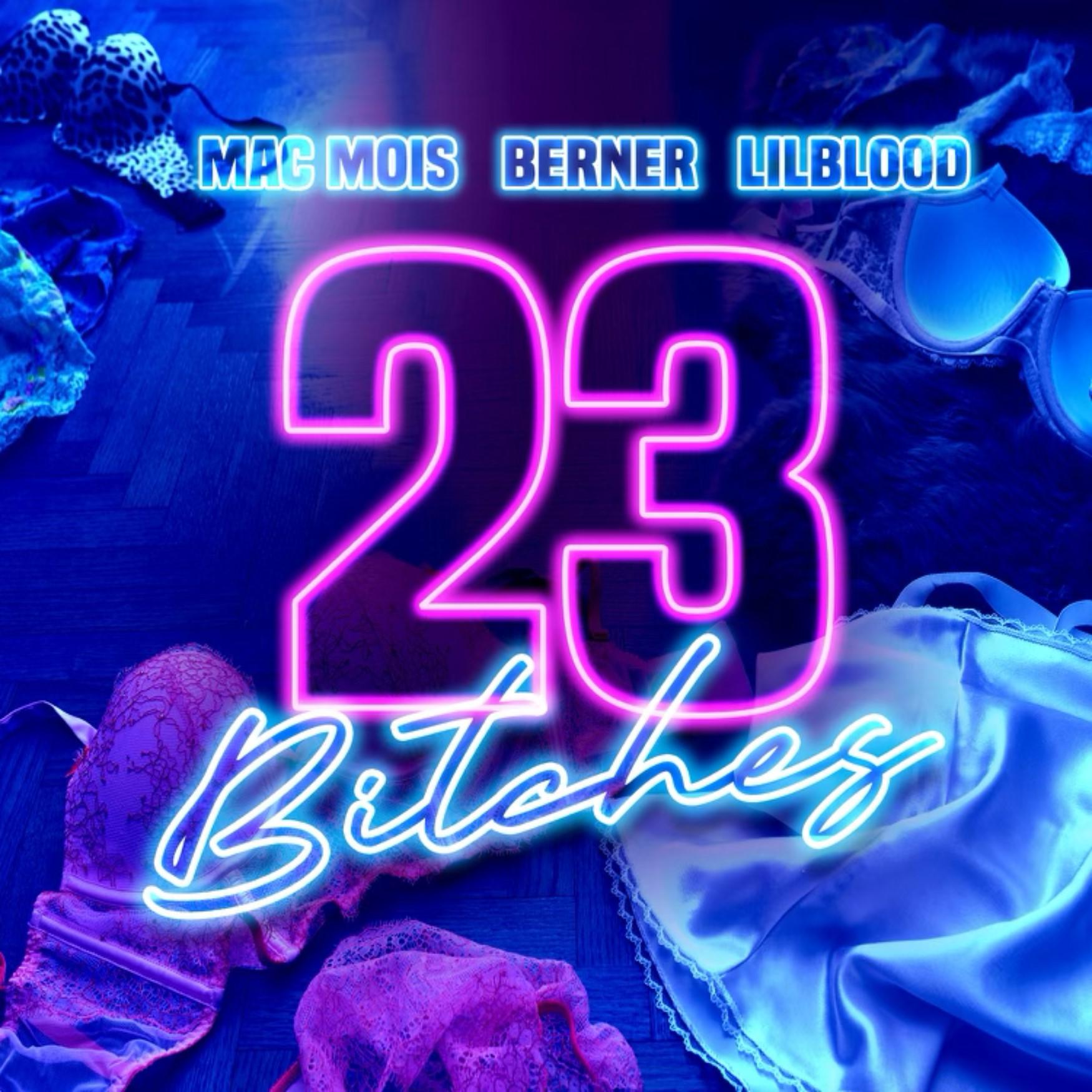 Постер альбома 23 Bitches (feat. Berner)