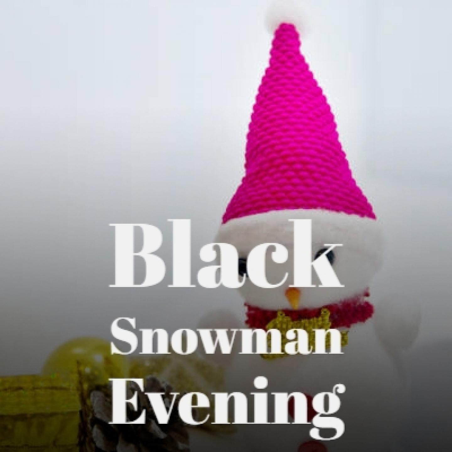 Постер альбома Black Snowman Evening