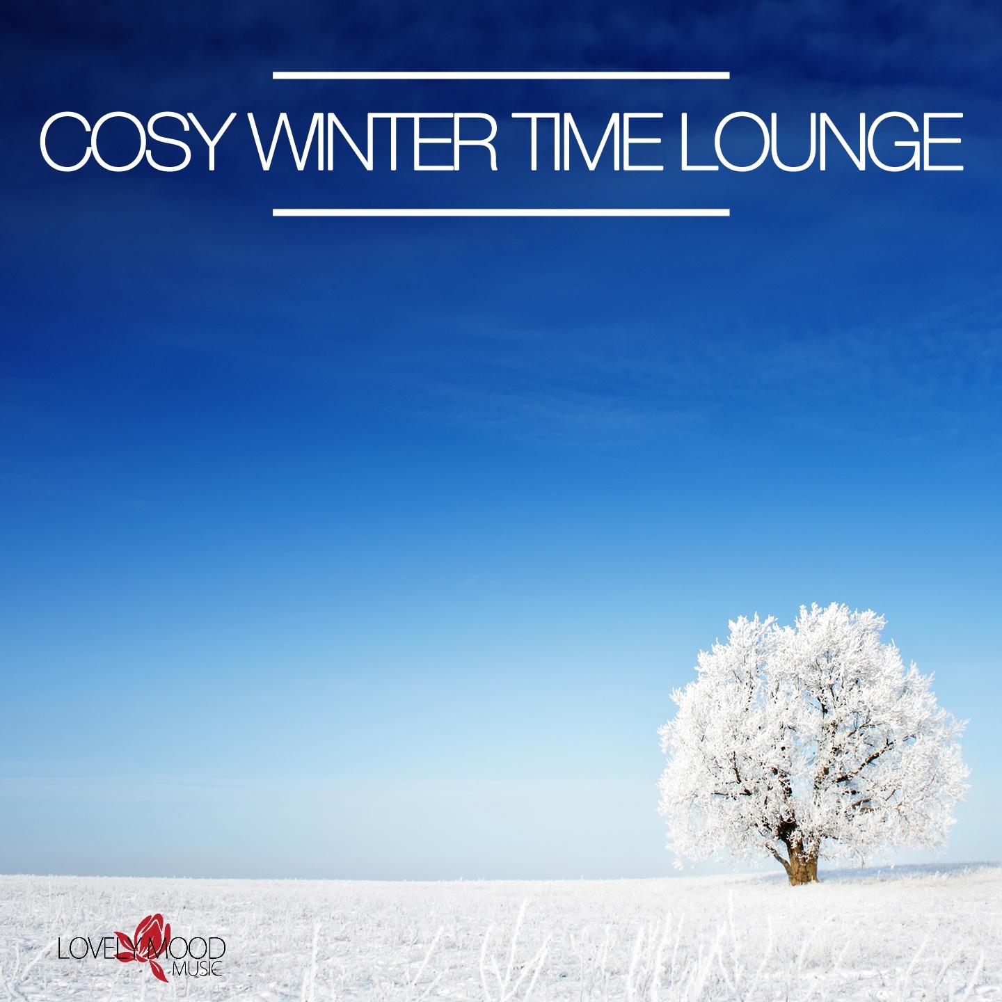 Постер альбома Cosy Winter Time Lounge