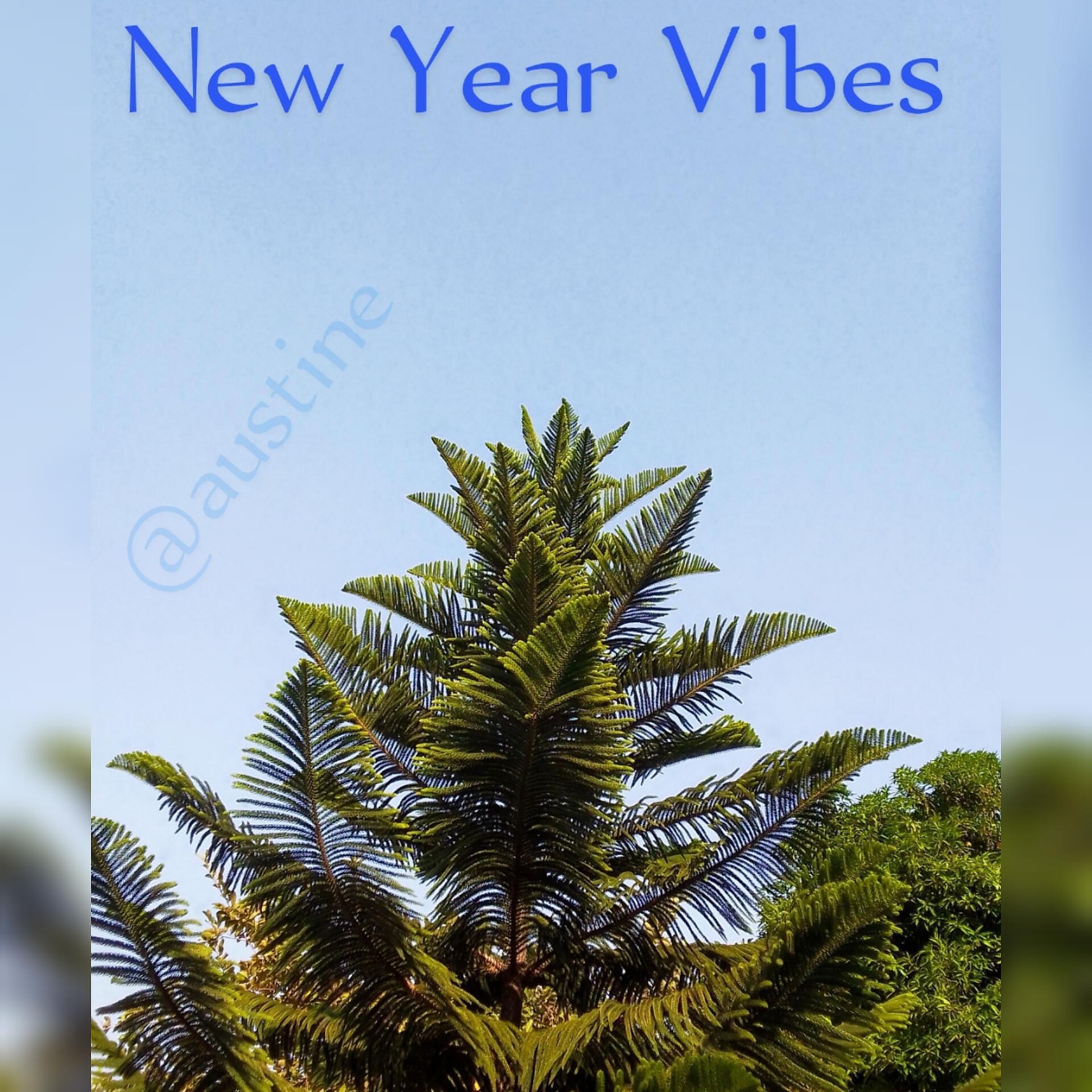 Постер альбома New Year Vibes