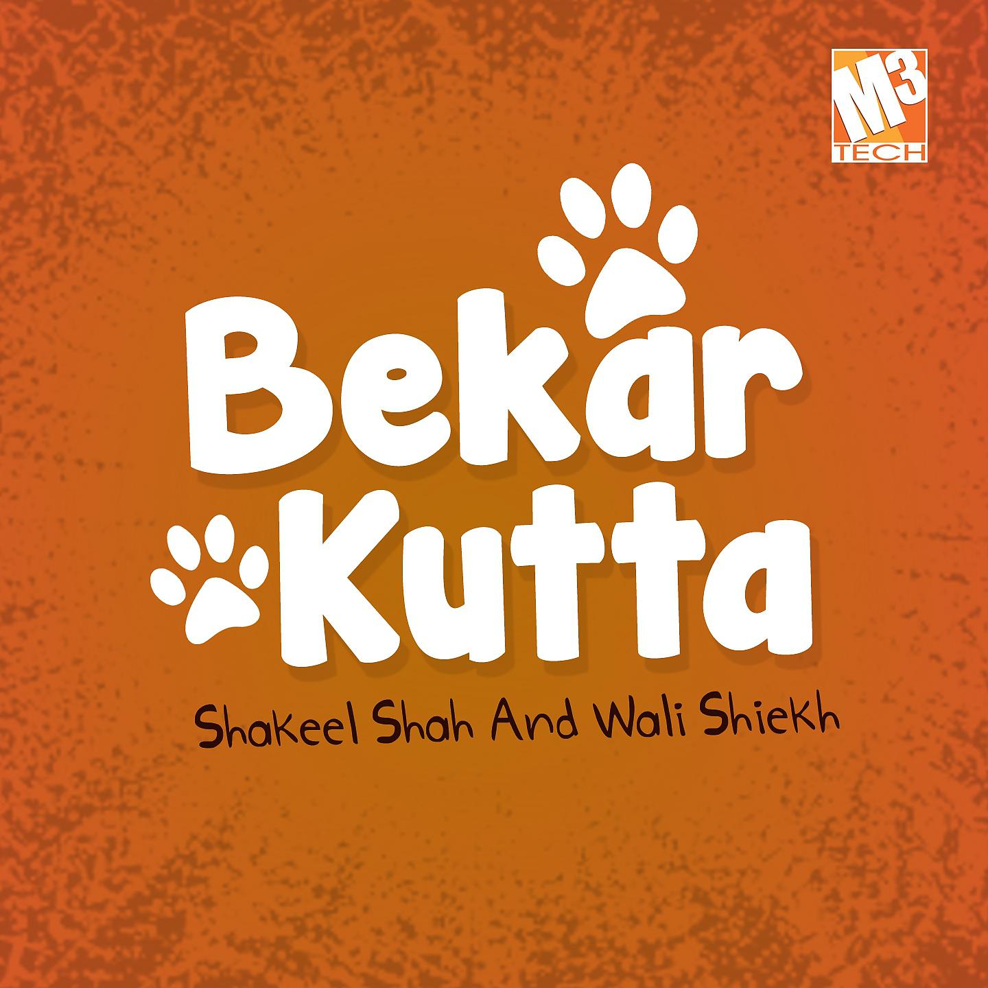 Постер альбома Bekar Kutta