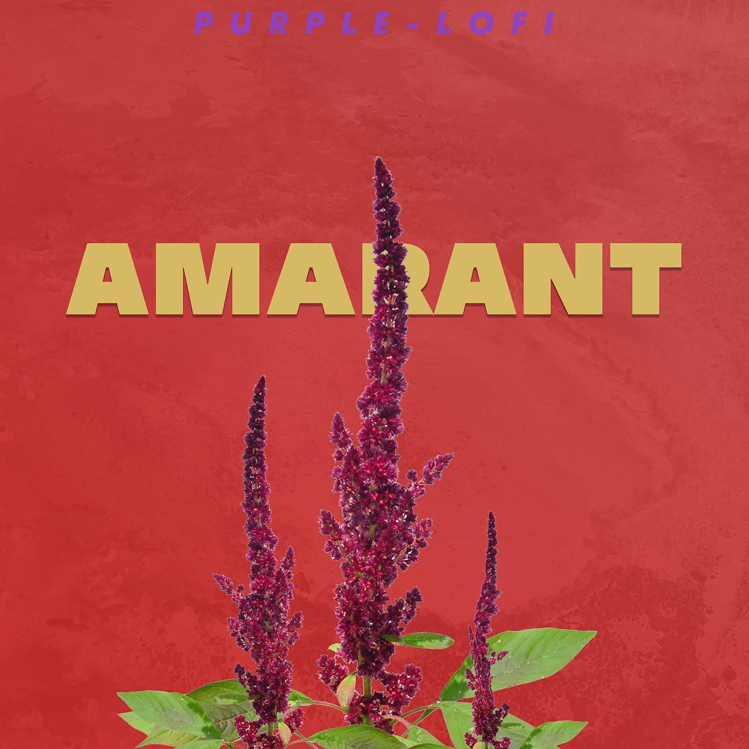 Постер альбома Amarant