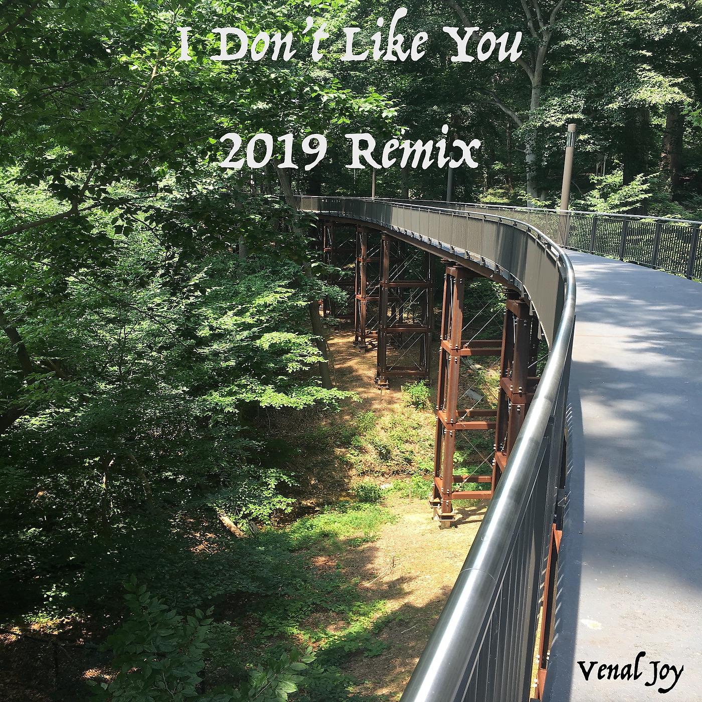 Постер альбома I Don't Like You (2019 Remix)