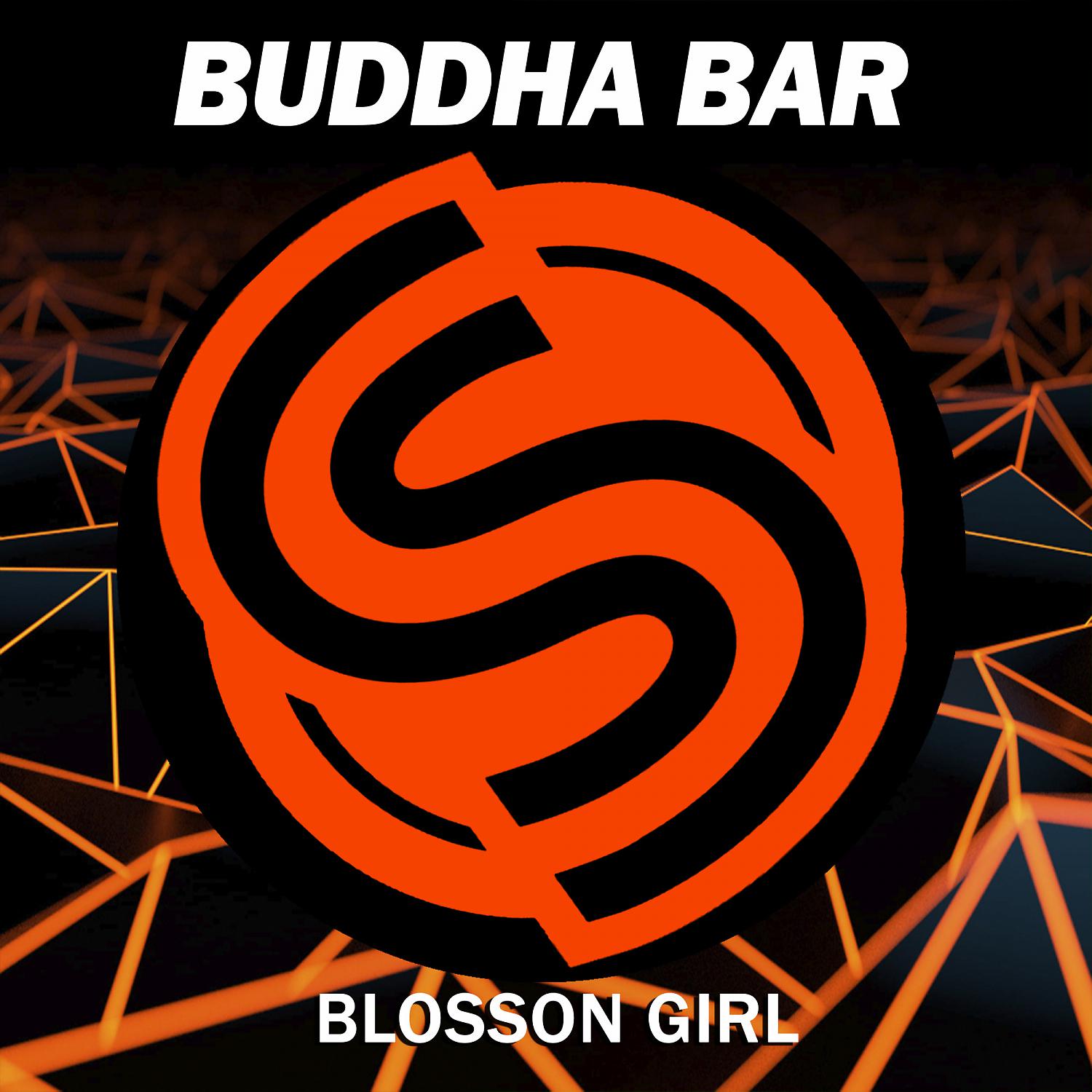 Постер альбома Blossom Girl