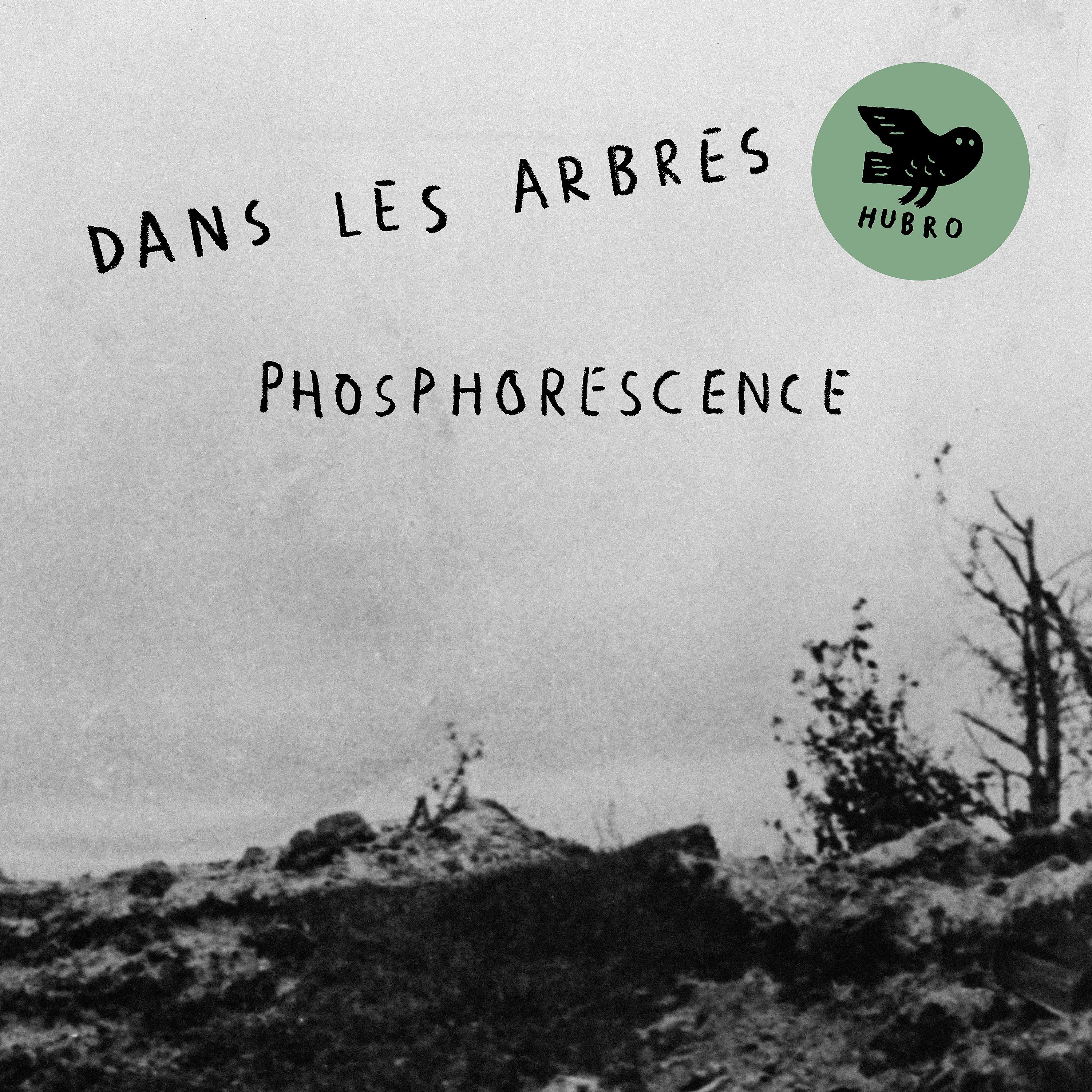Постер альбома Phosphorescence