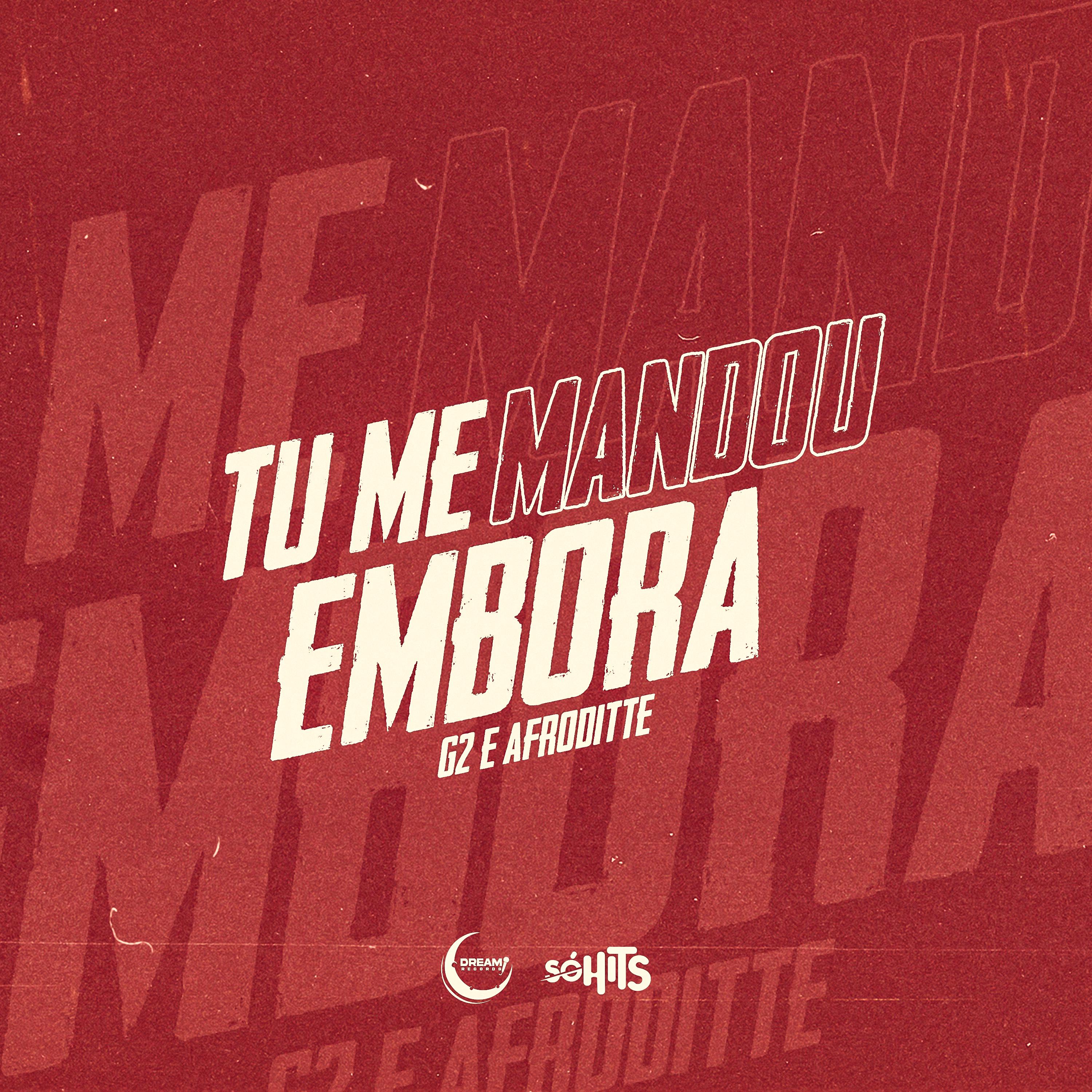Постер альбома Tu Me Mandou Embora