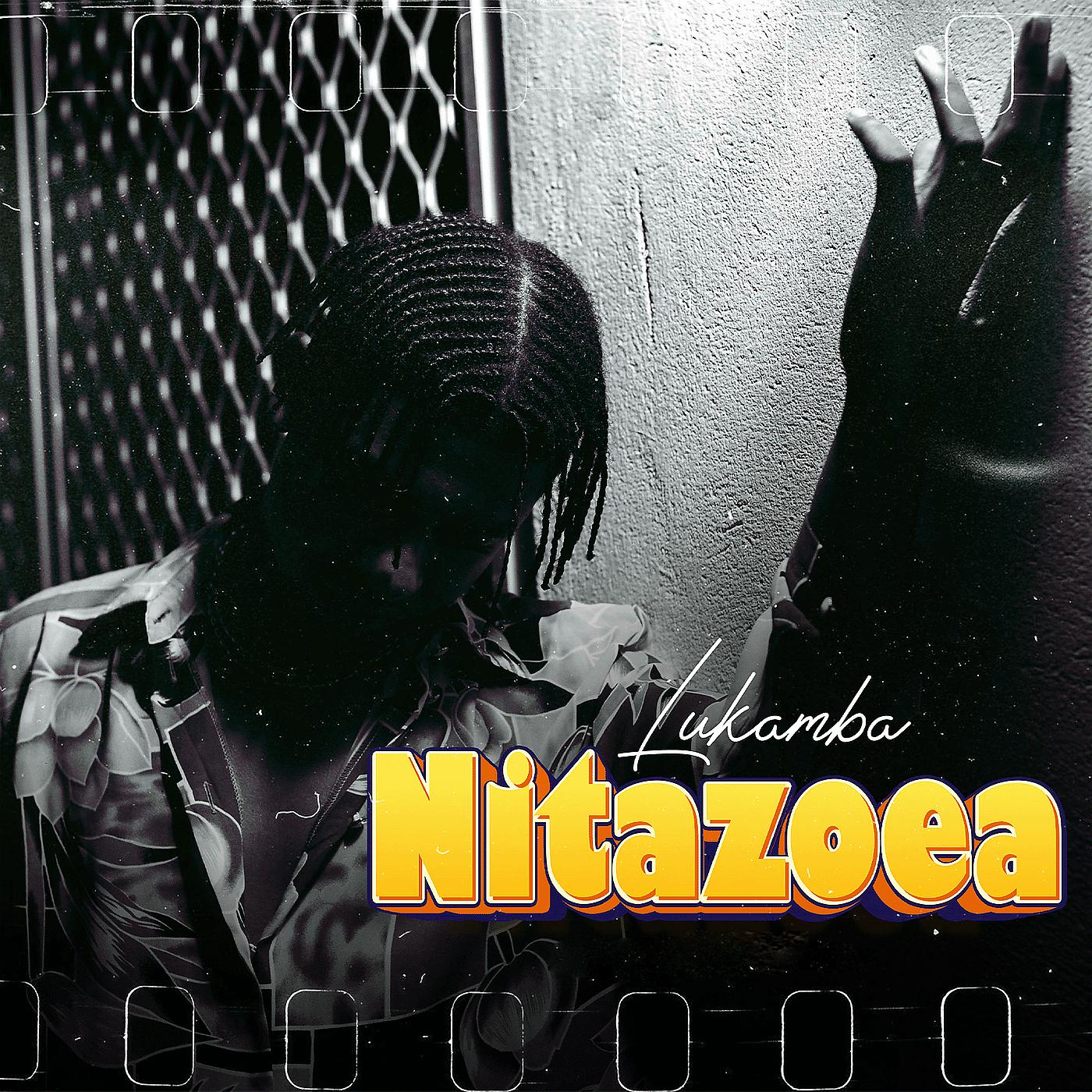 Постер альбома Nitazoea