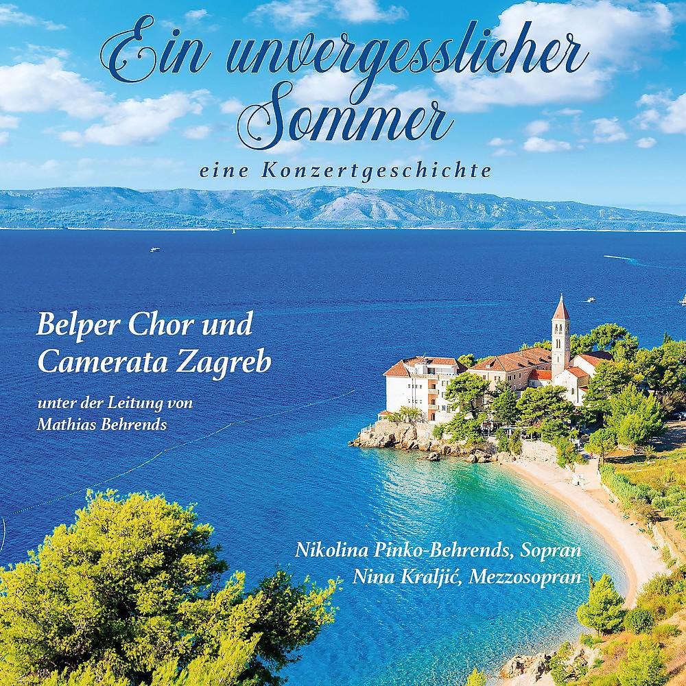 Постер альбома Ein unvergesslicher Sommer (Eine Konzertgeschichte) [Live]