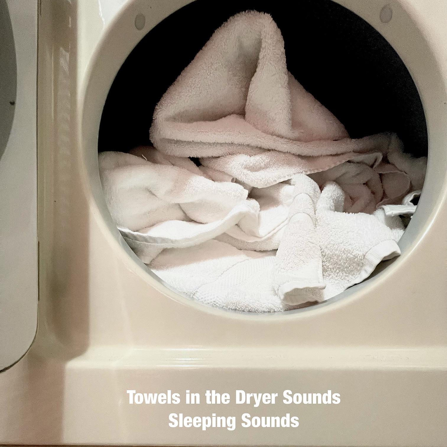Постер альбома Towels in the Dryer Sounds