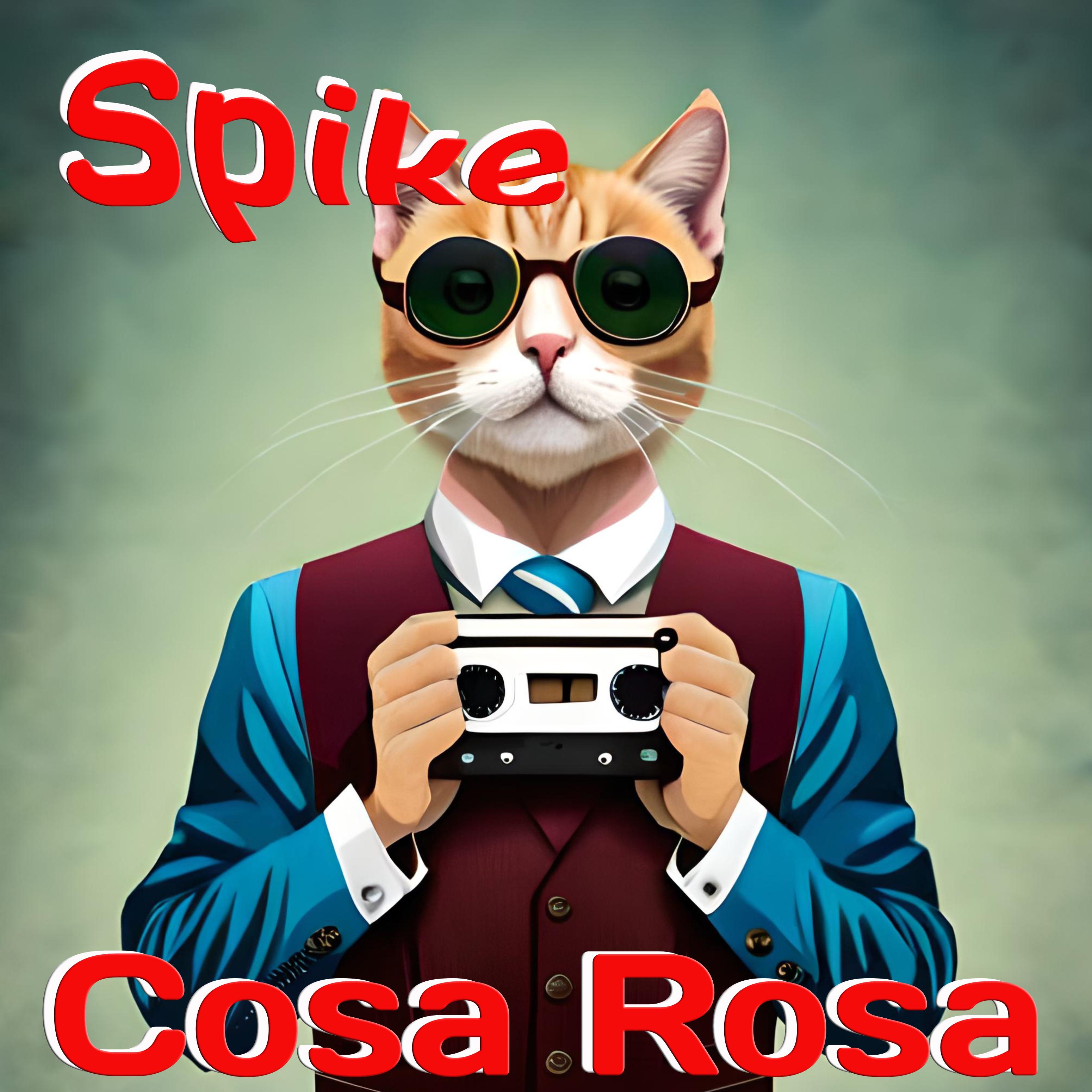 Постер альбома Cosa Rosa