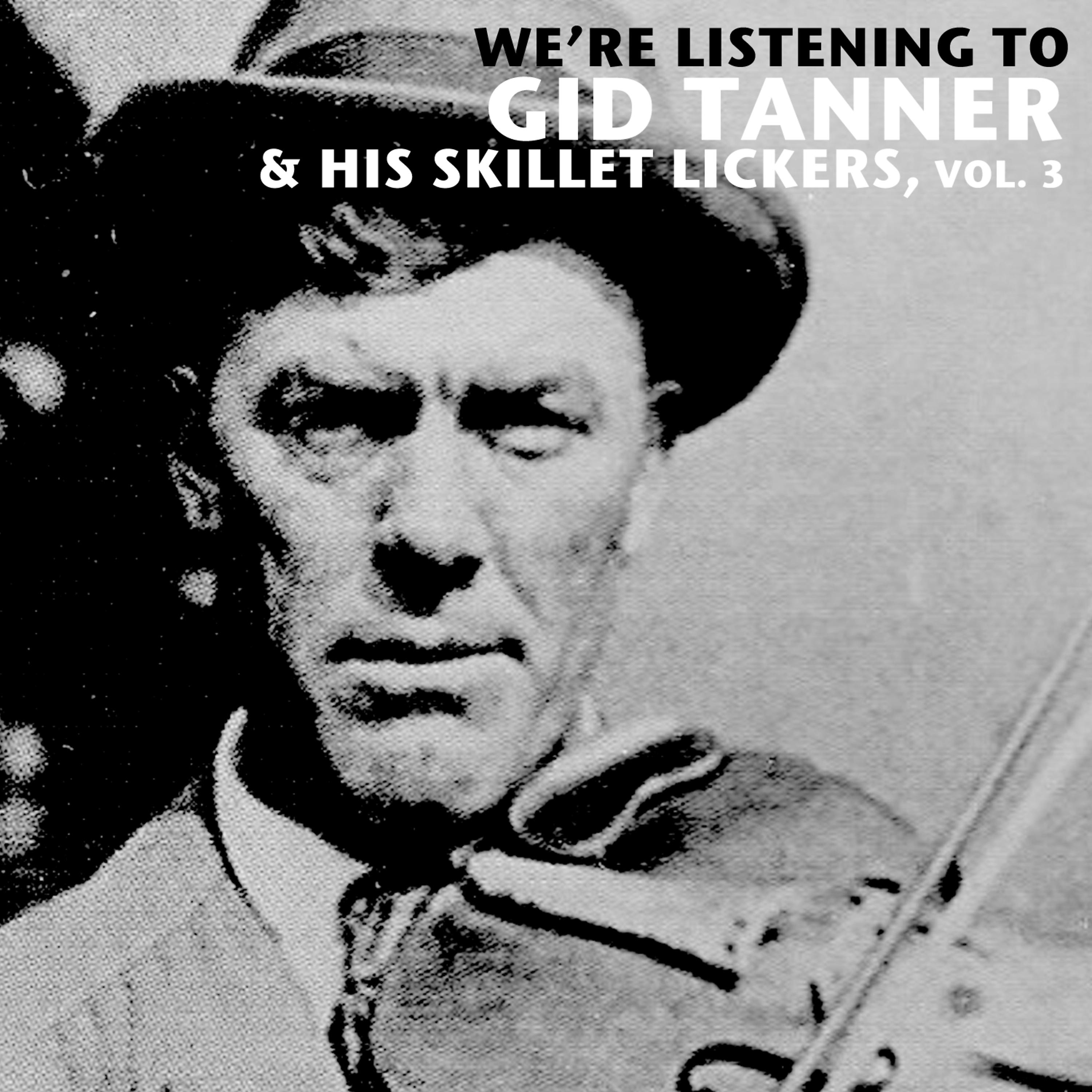 Постер альбома We're Listening to Gid Tanner & His Skillet Lickers, Vol. 3
