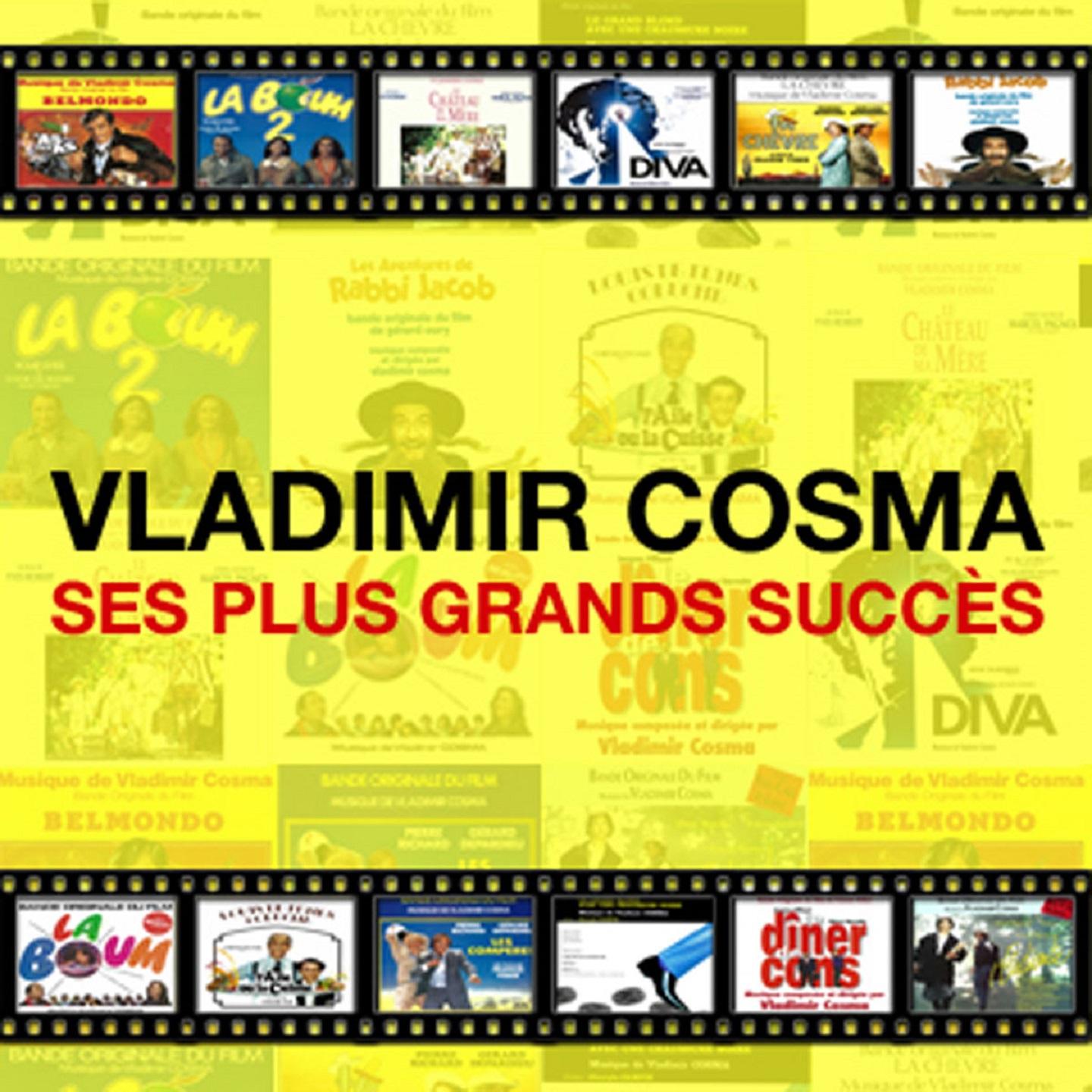 Постер альбома Vladimir Cosma : ses plus grands succès