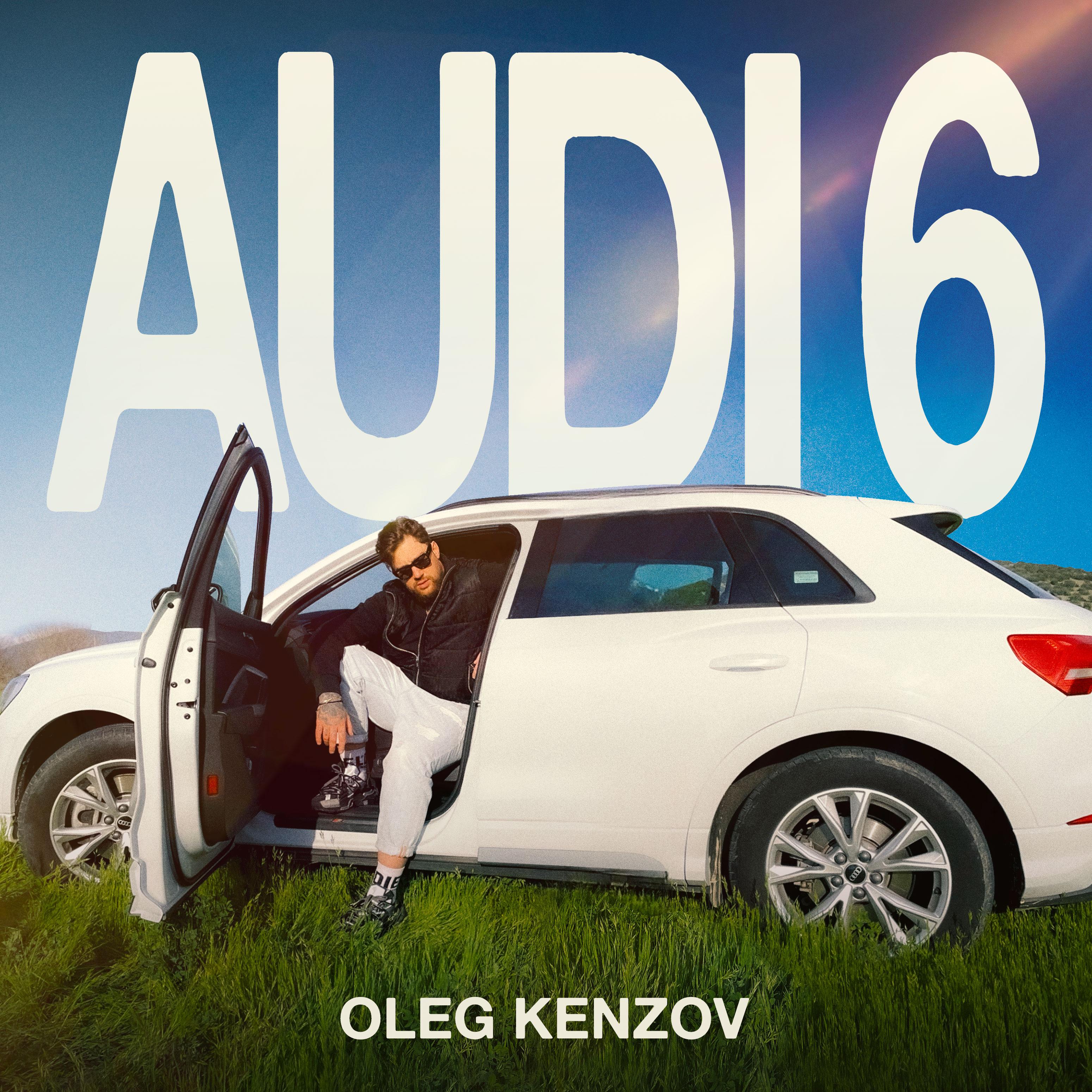 Постер альбома Audi 6