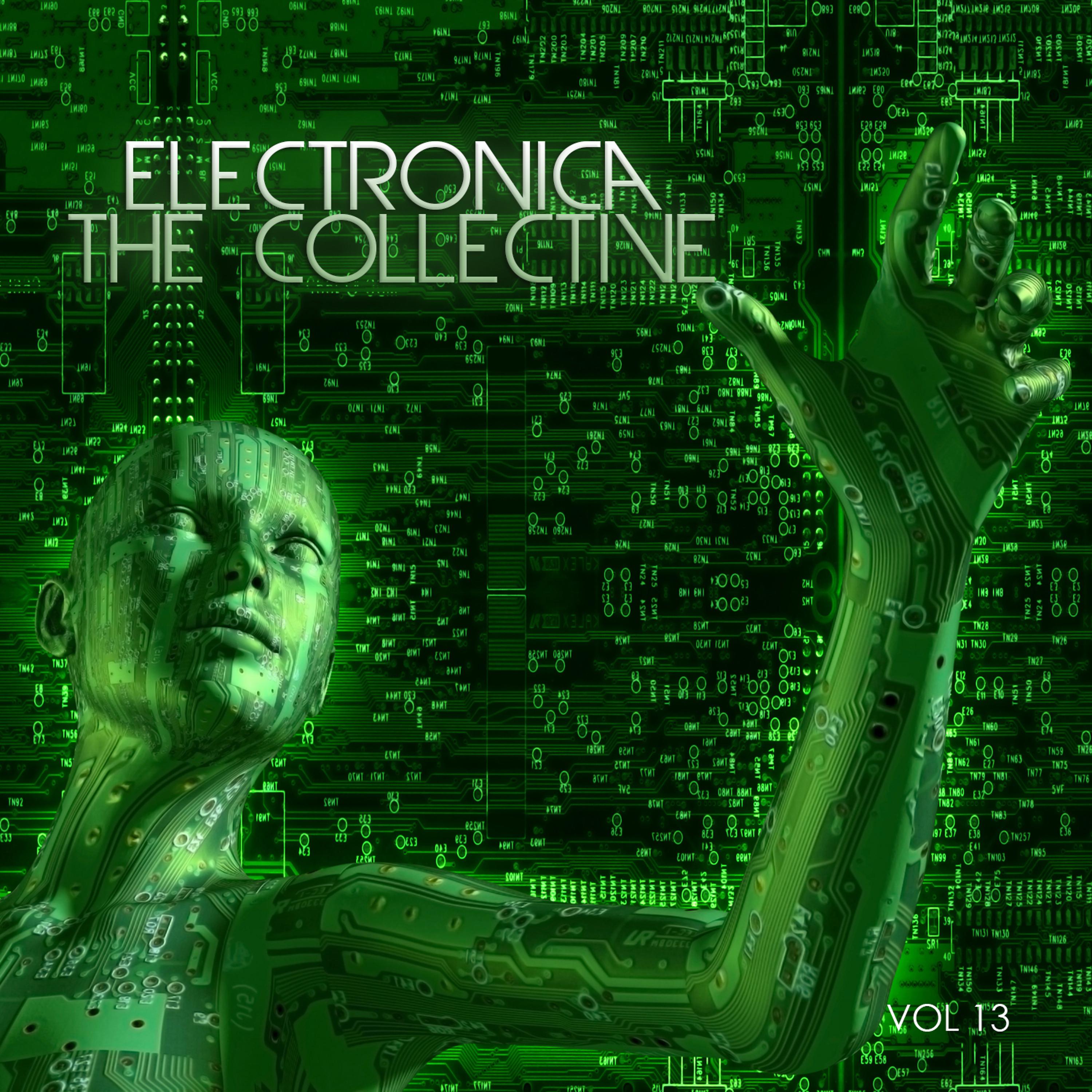 Постер альбома Electronica: The Collective, Vol. 13