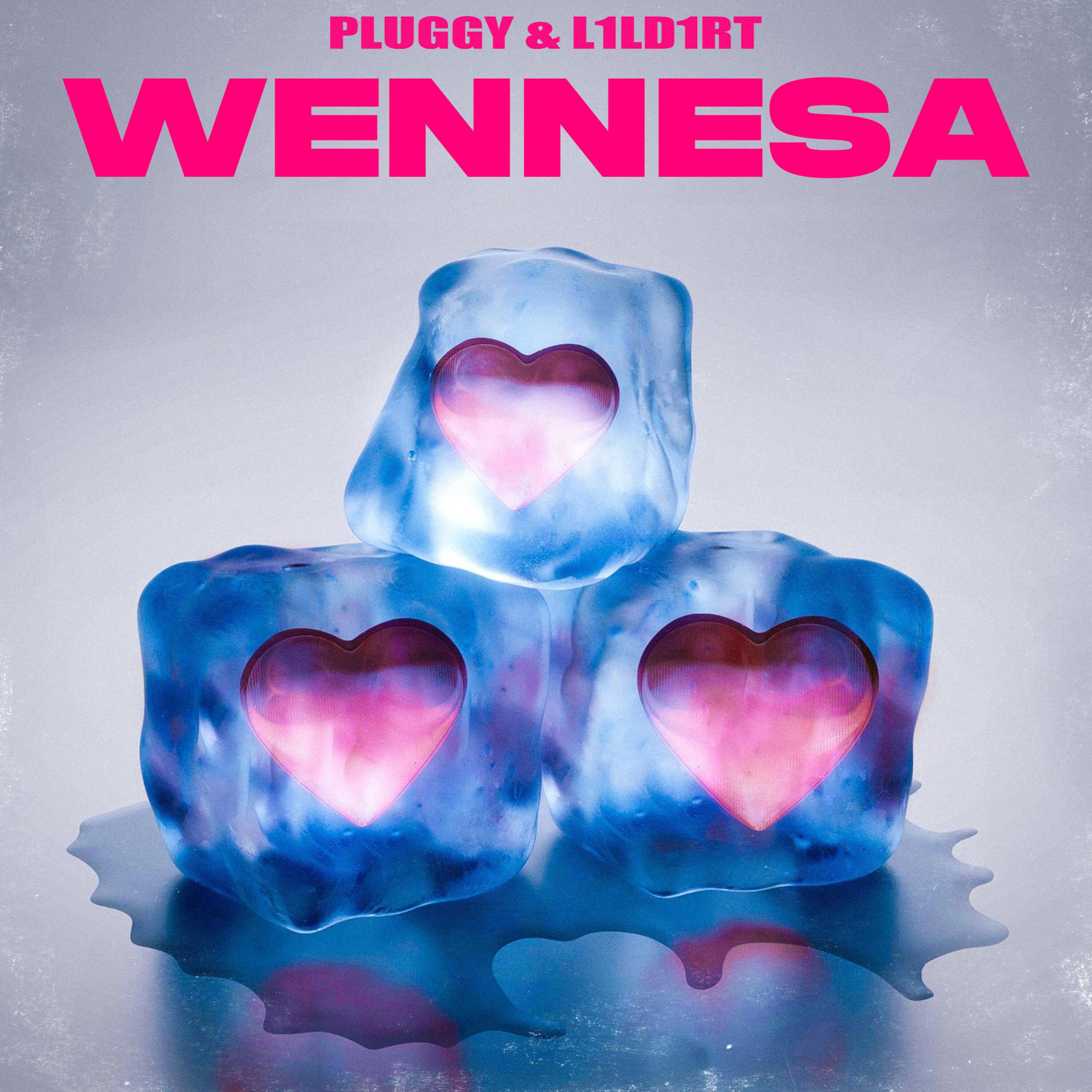Постер альбома WENNESA
