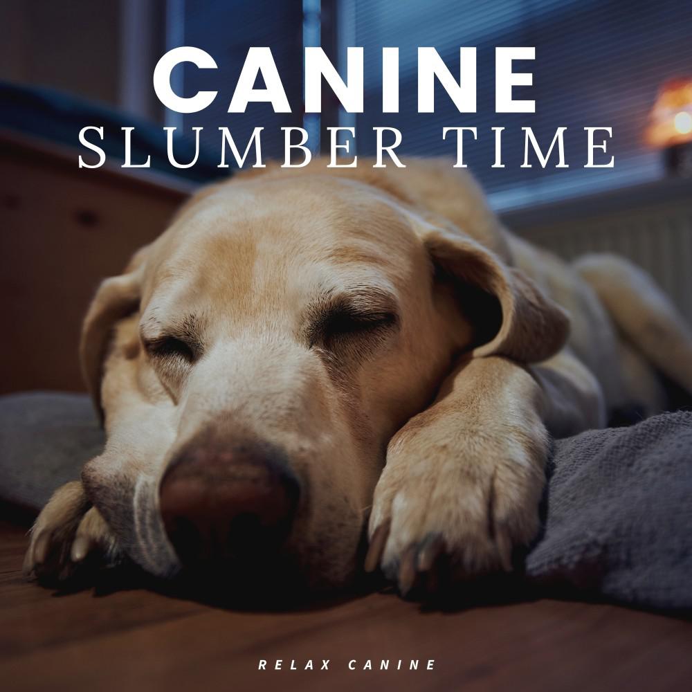Постер альбома Canine Slumber Time