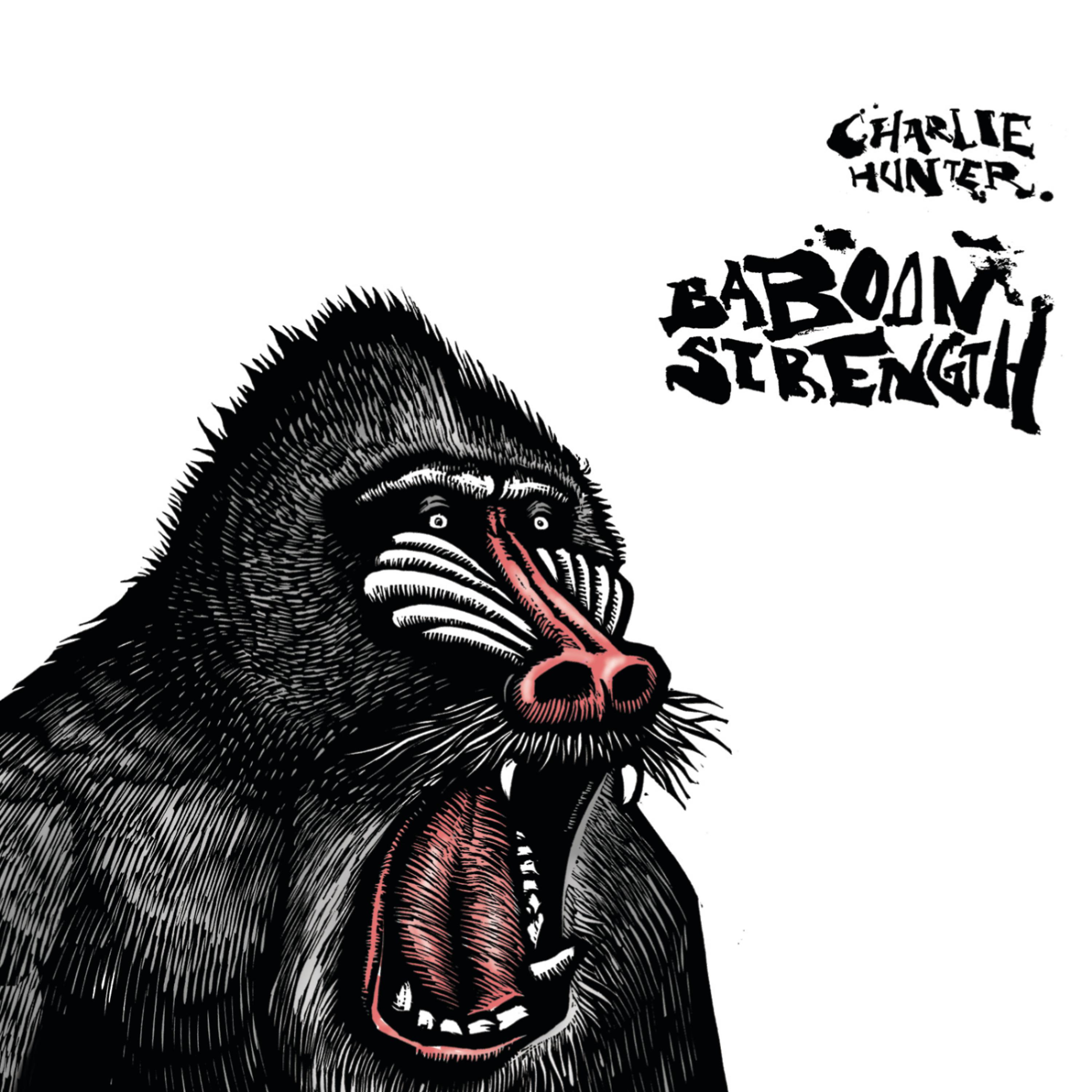 Постер альбома Baboon Strength