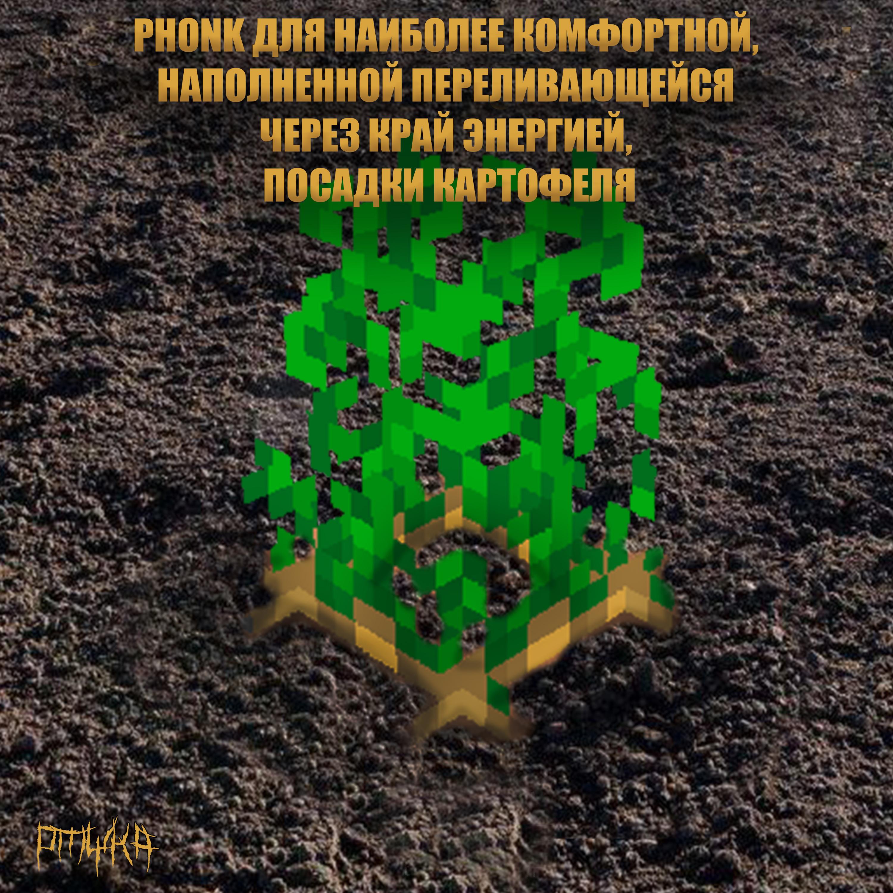 Постер альбома Phonk для наиболее комфортной, наполненной переливающейся через край энергией, посадки картофеля