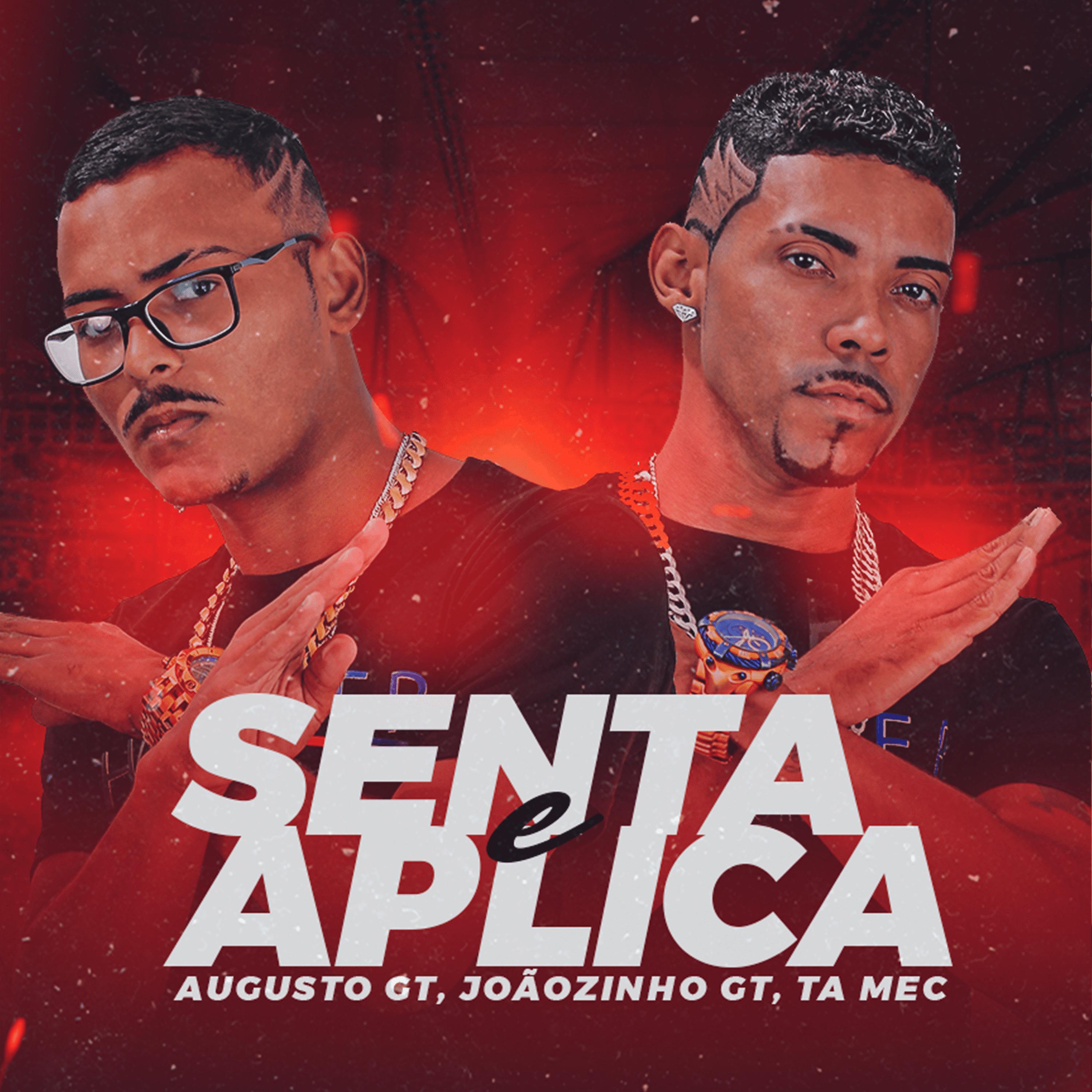 Постер альбома Senta e Aplica