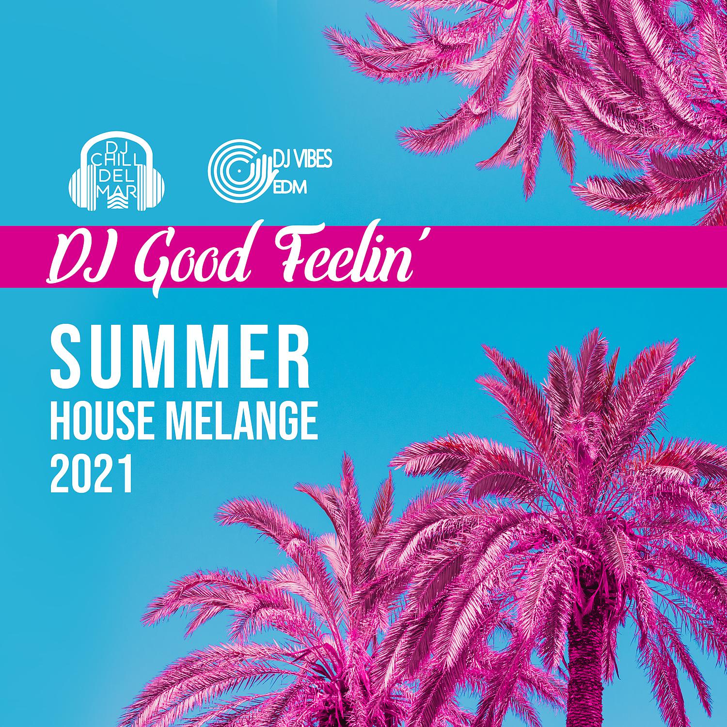 Постер альбома Summer House Melange 2021