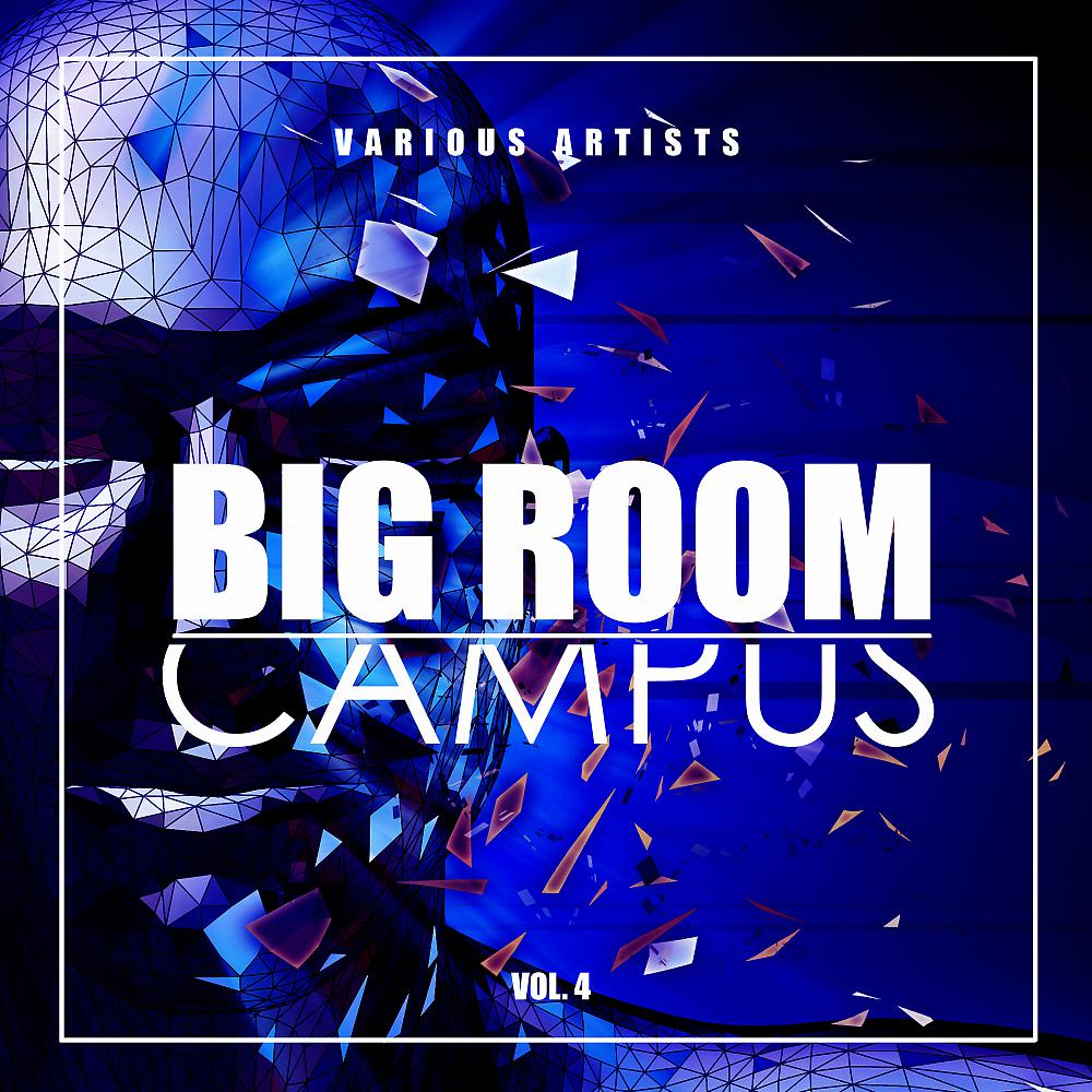 Постер альбома Big Room Campus, Vol. 4