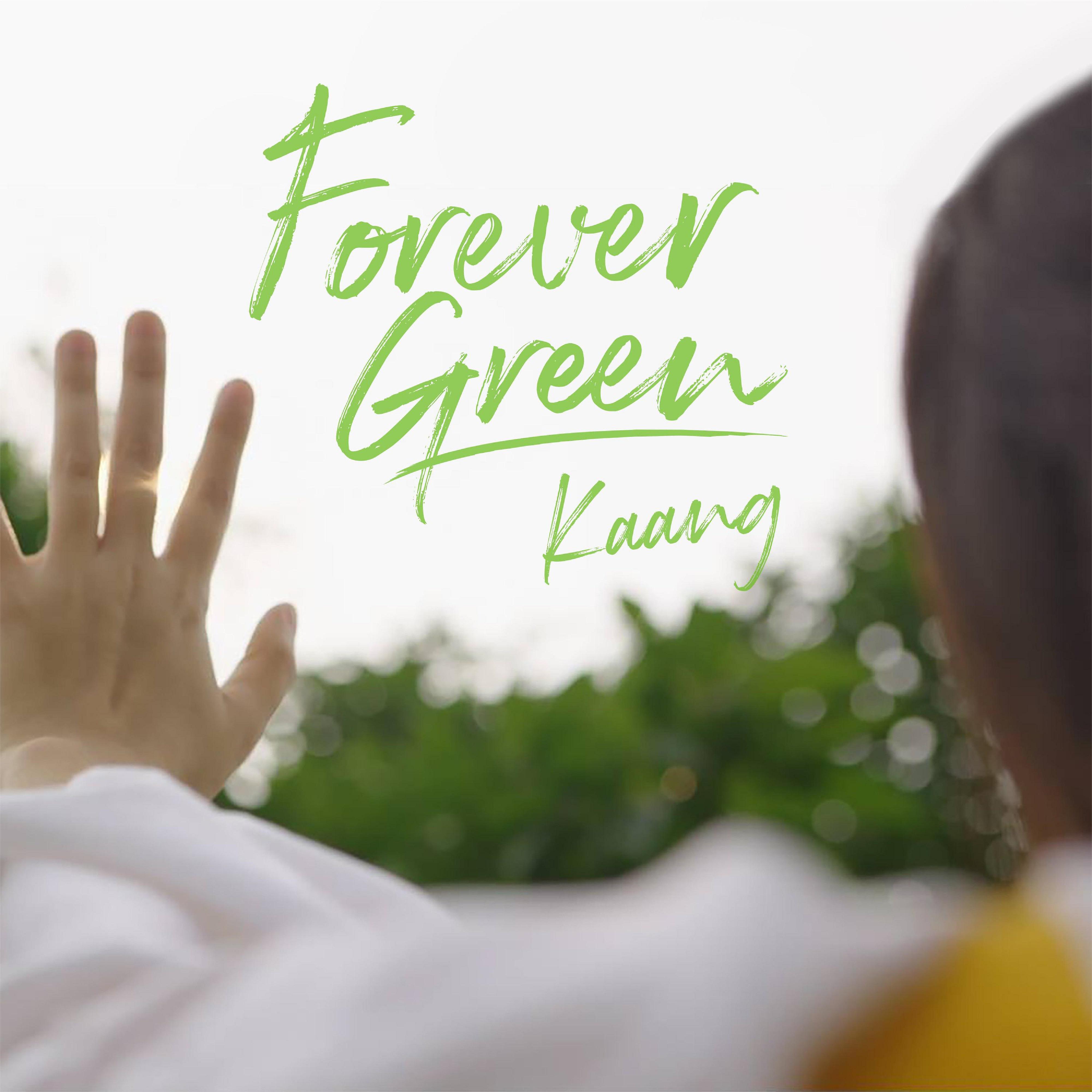 Постер альбома Forever Green