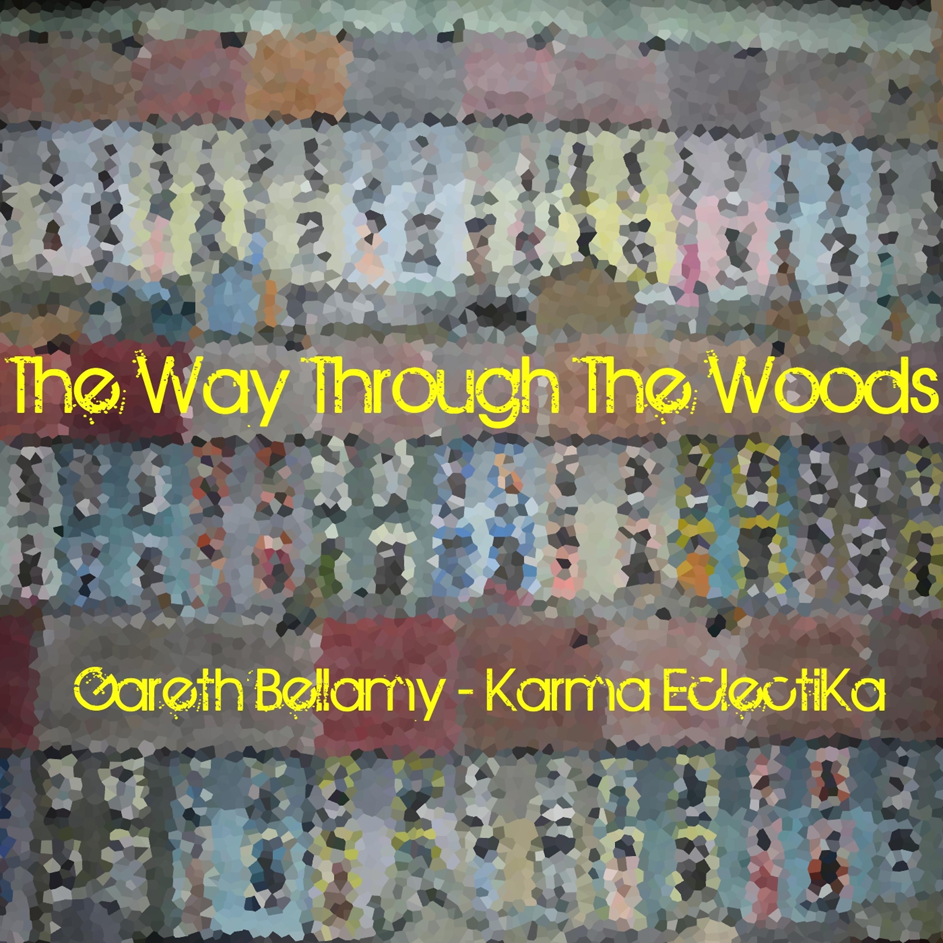 Постер альбома The Way Through the Woods