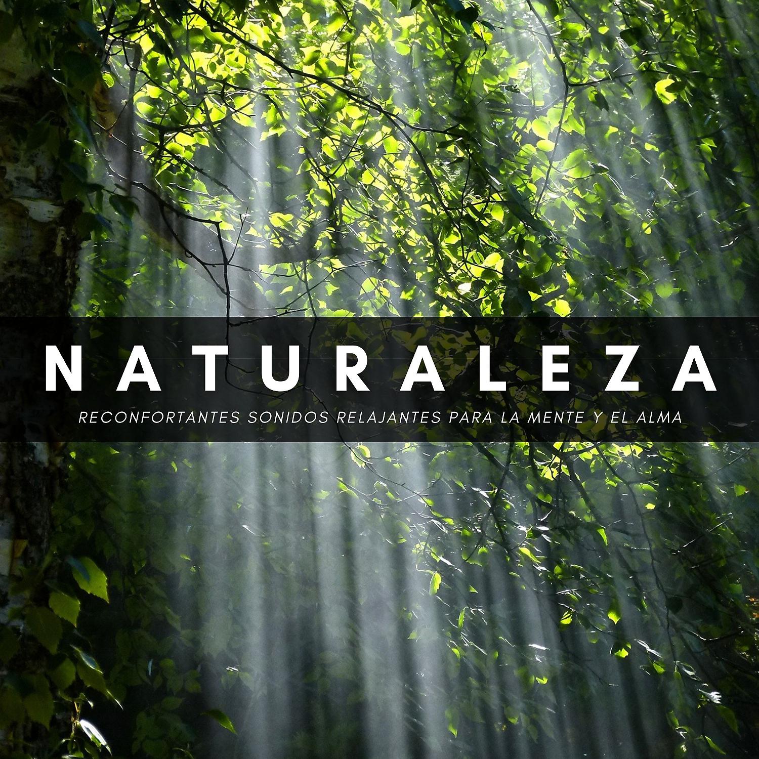 Постер альбома Naturaleza: Reconfortantes Sonidos Relajantes Para La Mente Y El Alma