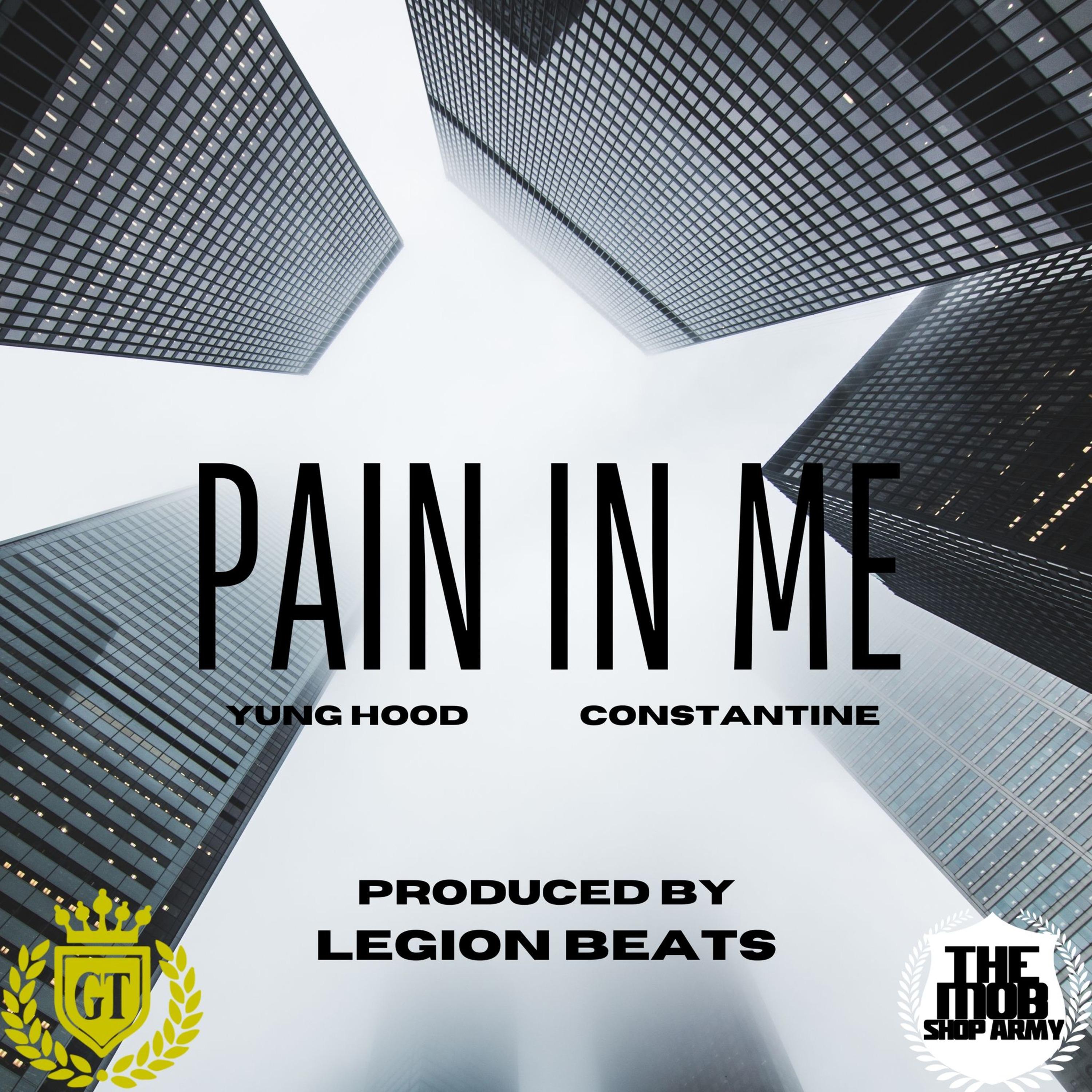 Постер альбома Pain In Me (feat. Constantine)