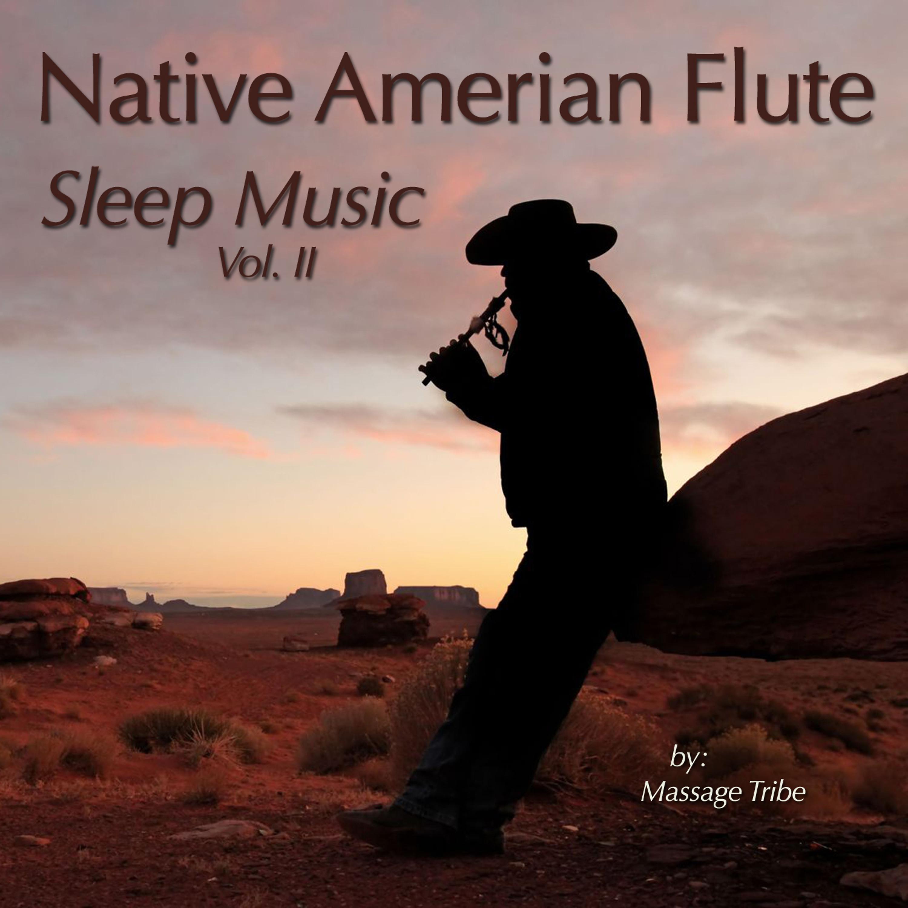 Постер альбома Native American Flute Sleep Music, Vol. 2