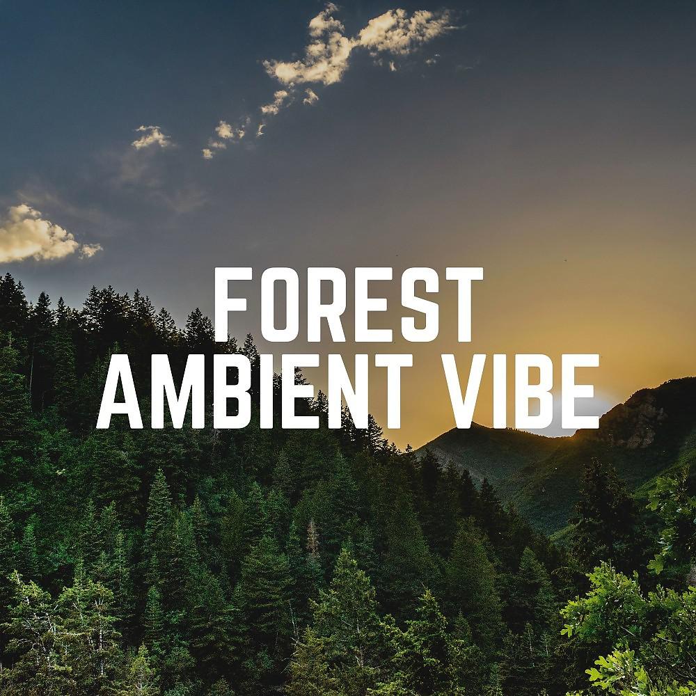 Постер альбома Forest Ambient Vibe
