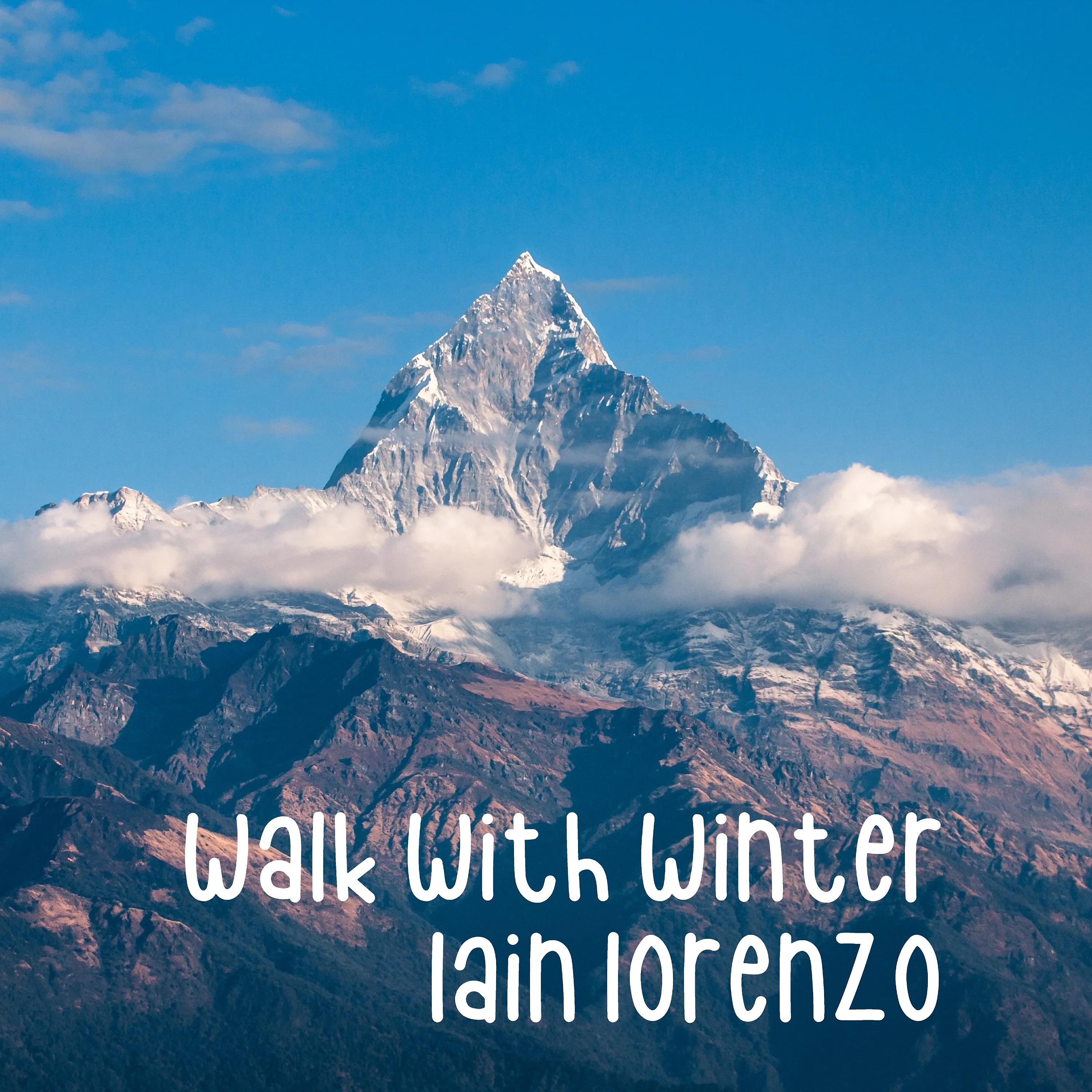 Постер альбома Walk with Winter