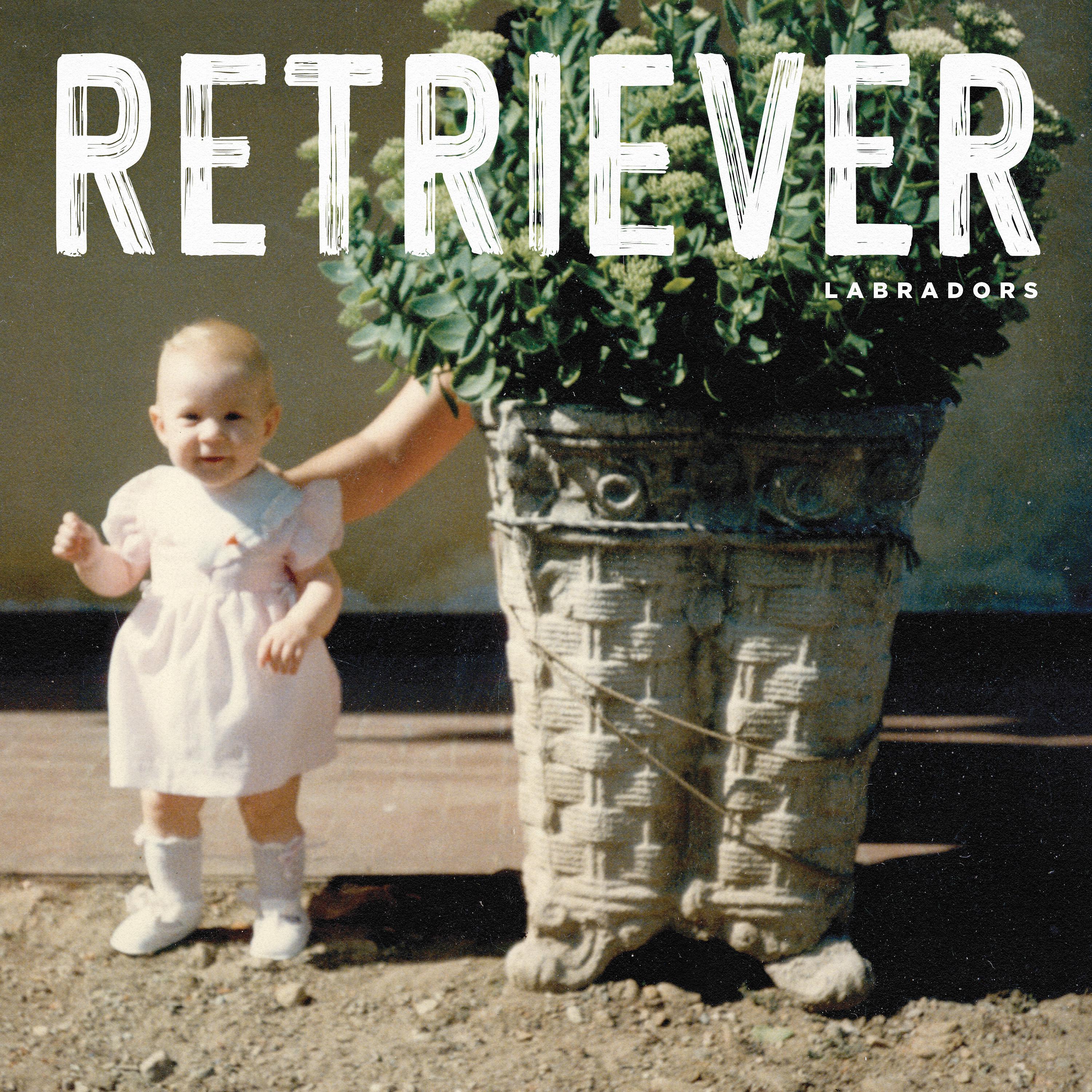 Постер альбома Retriever