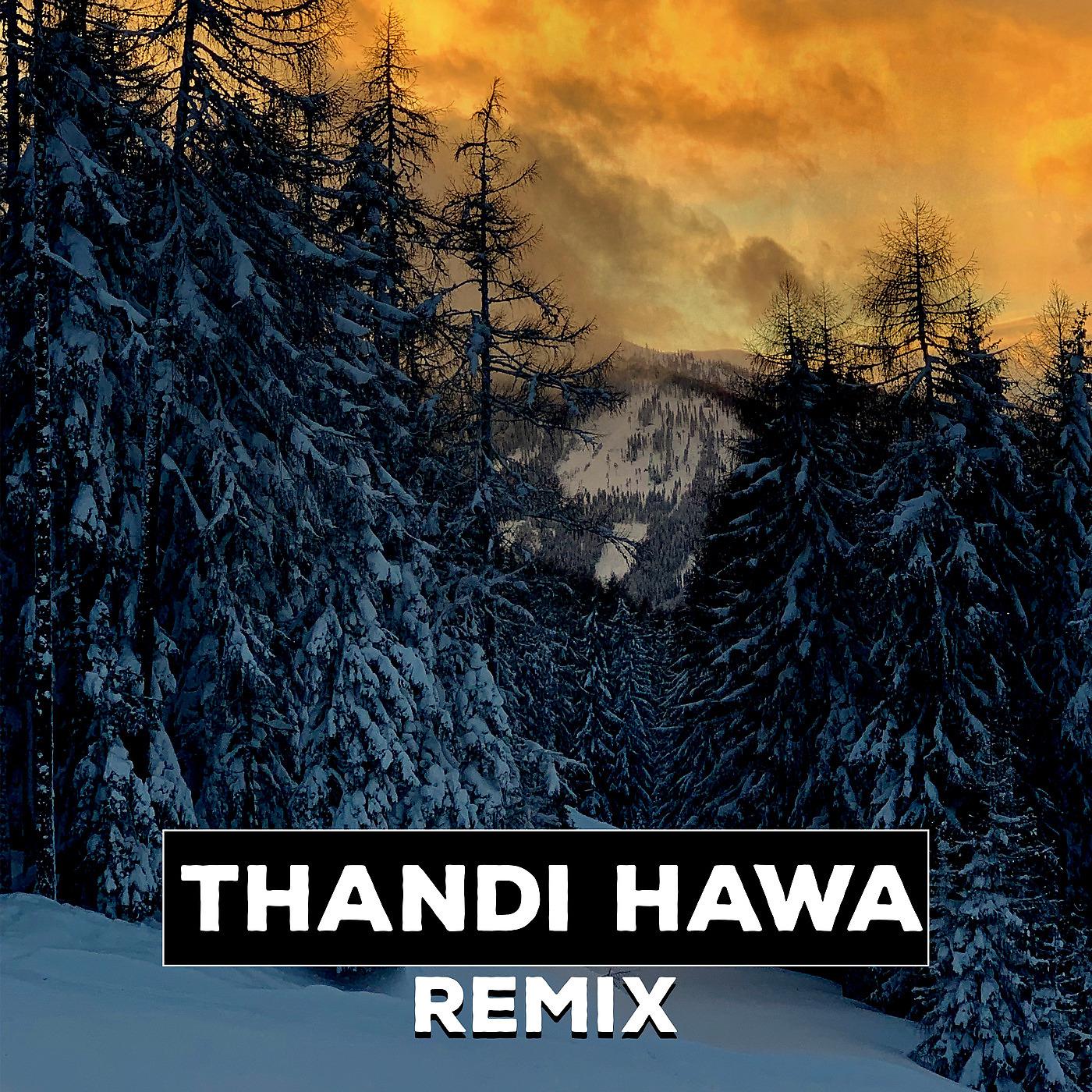 Постер альбома Thandi Hawa (Remix)