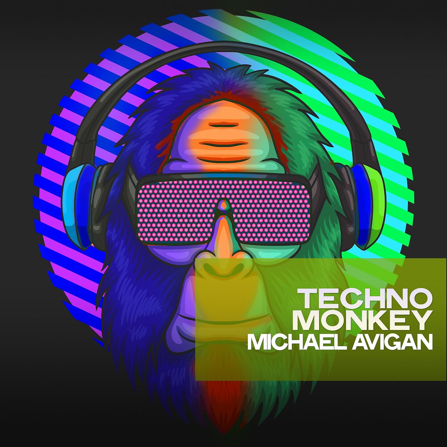 Постер альбома Techno Monkey
