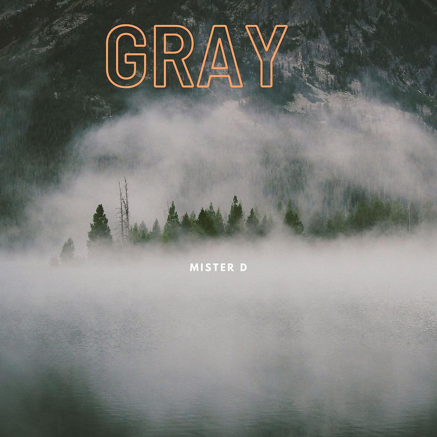 Постер альбома Gray