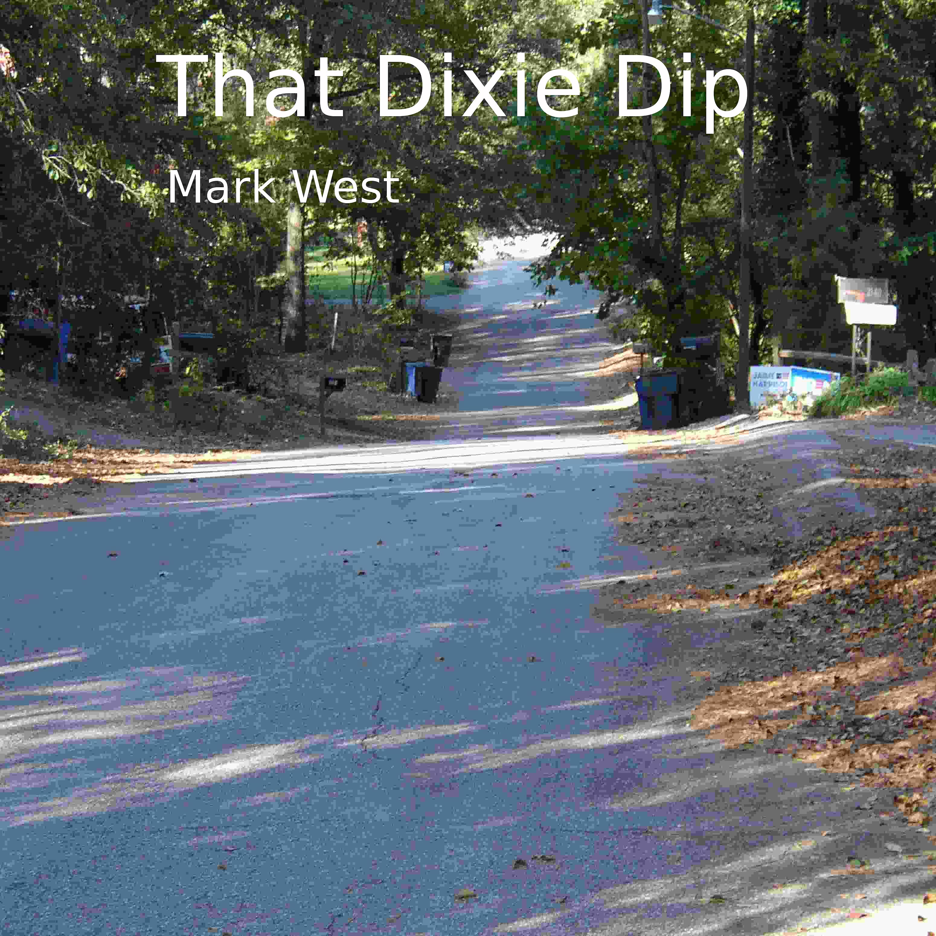 Постер альбома That Dixie Dip