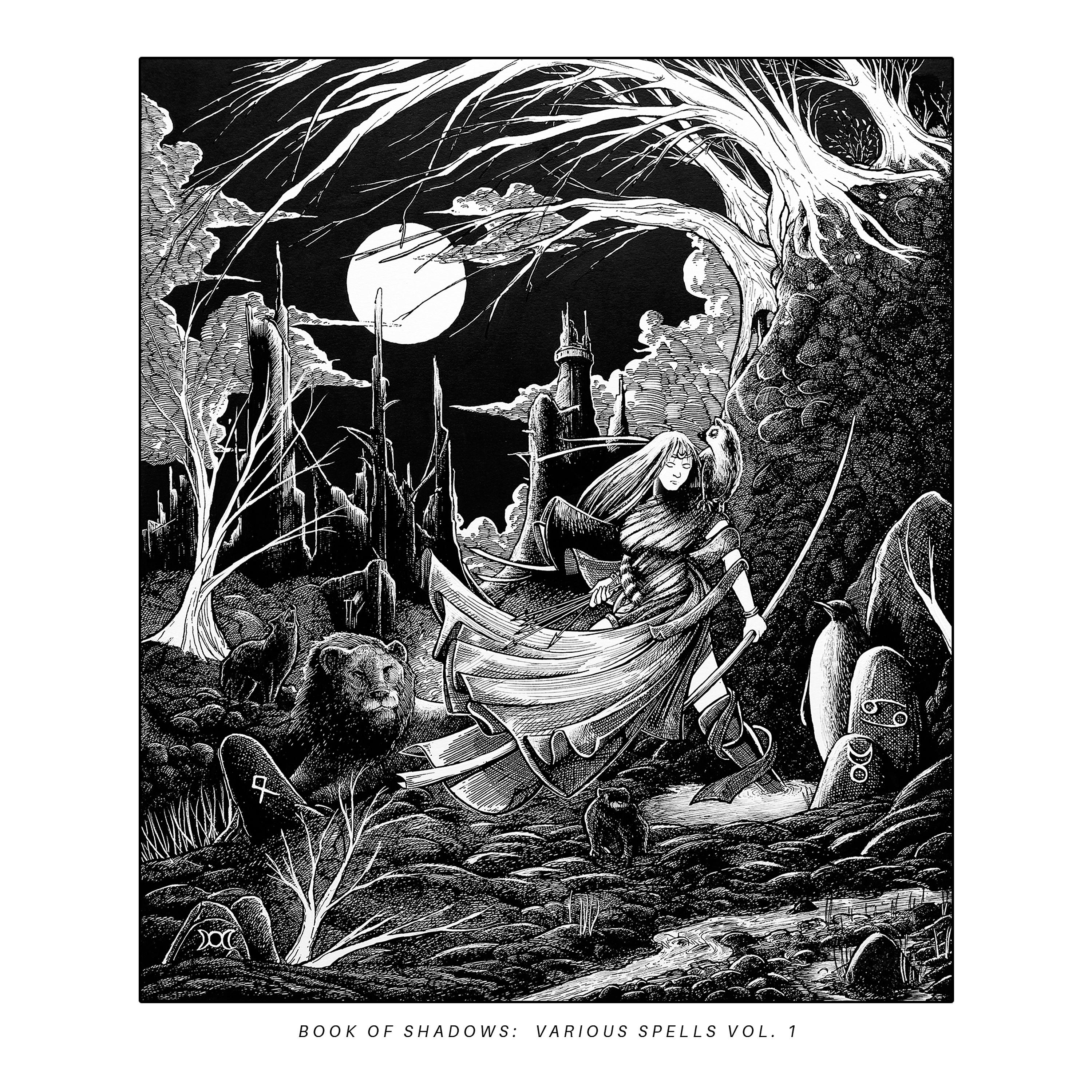 Постер альбома Book of Shadows: Various Spells, Vol. 1