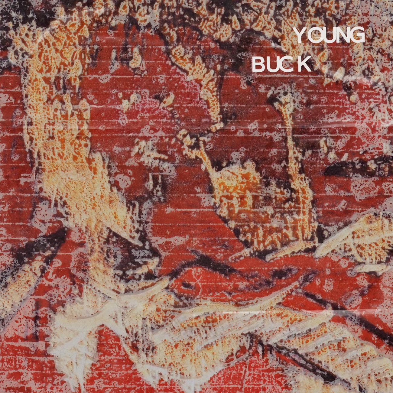 Постер альбома Young Buck