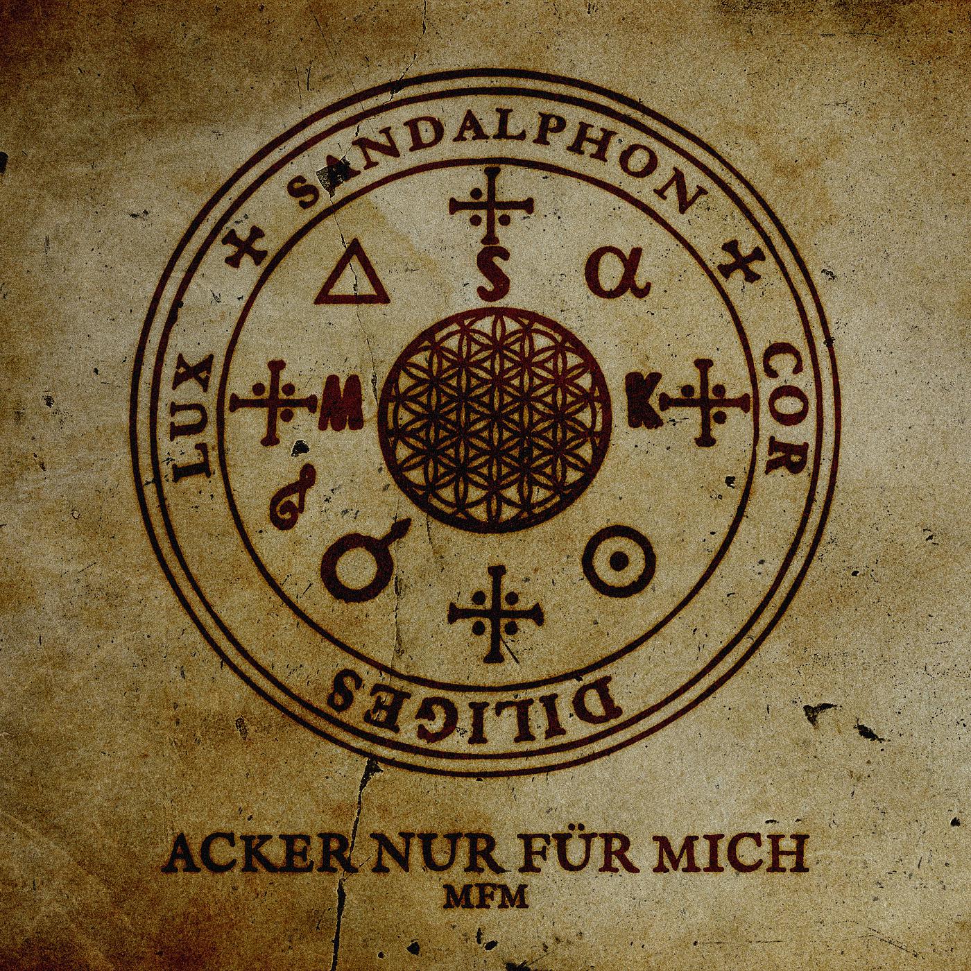 Постер альбома Acker Nur Für Mich