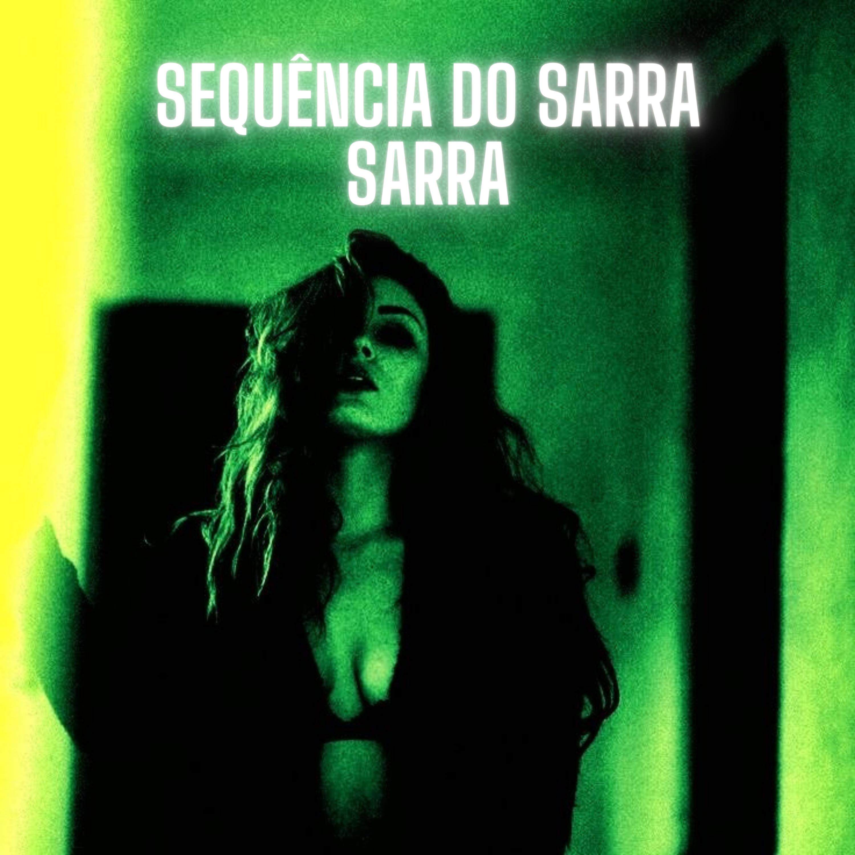 Постер альбома Sequência do Sarra Sarra