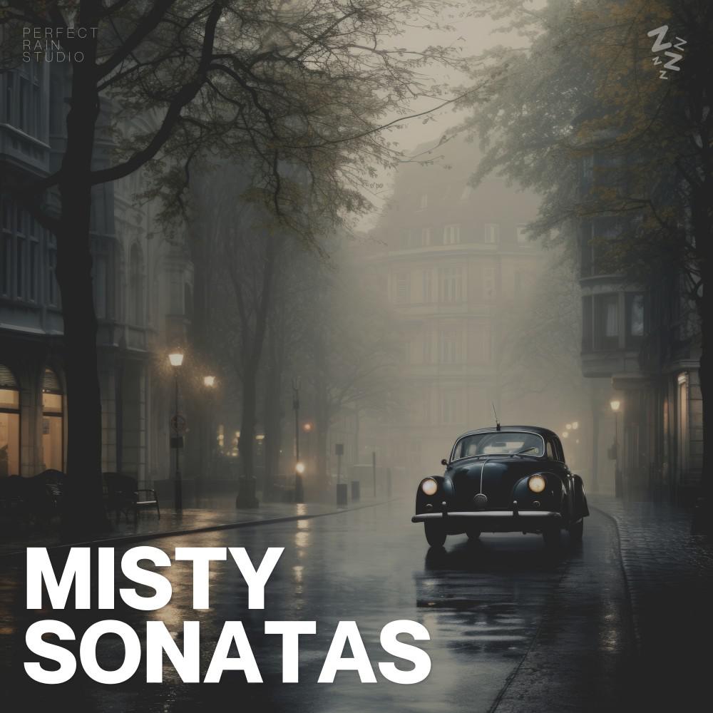 Постер альбома Misty Sonatas